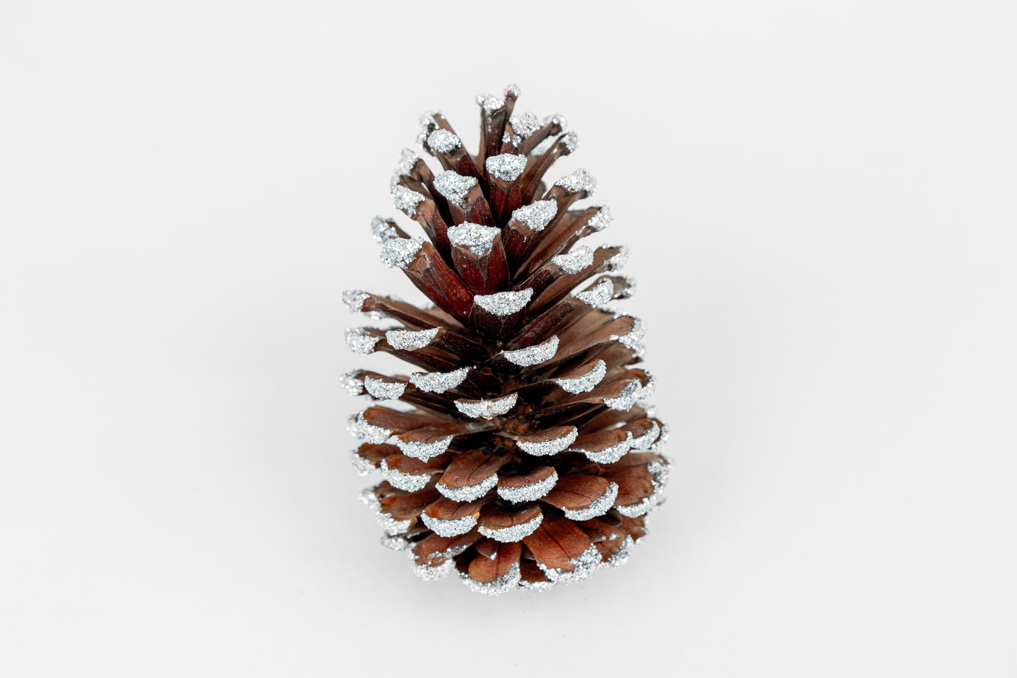 Slash Cones (4-6"), 100 Pcs - 18" Hyacinth Pick