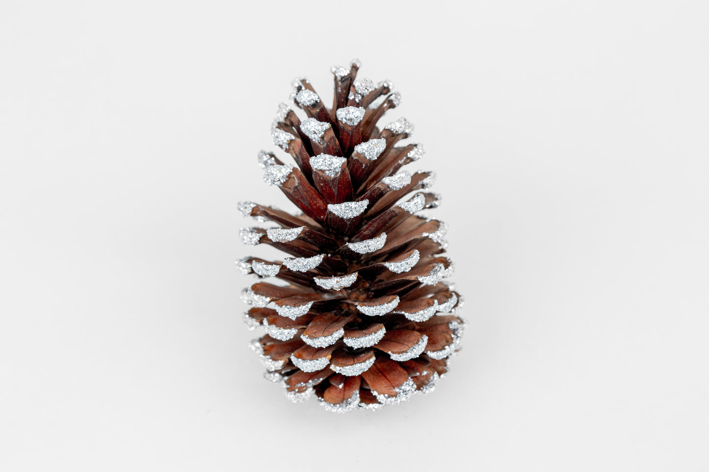 Slash Cones (4-6"), 100 Pcs - 18" Hyacinth Pick