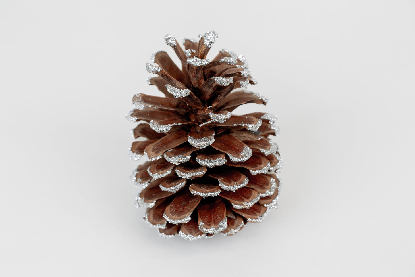 Long Leaf Cones (6-8"), 100 Pcs
