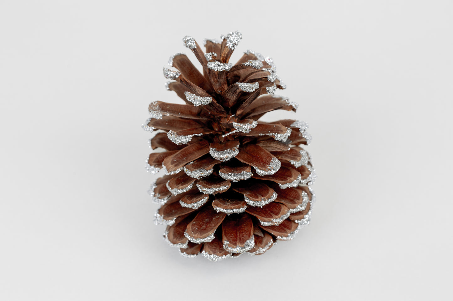 Long Leaf Cones (6-8"), 100 Pcs