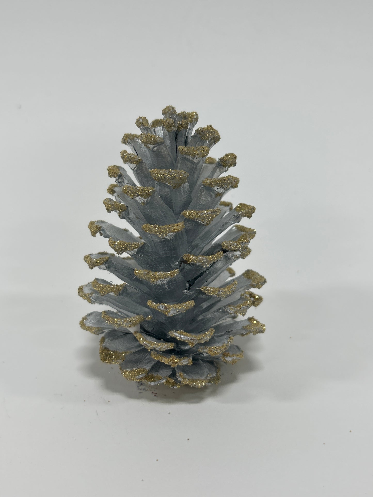 Loblolly Cones (3-4"), 100 Pcs
