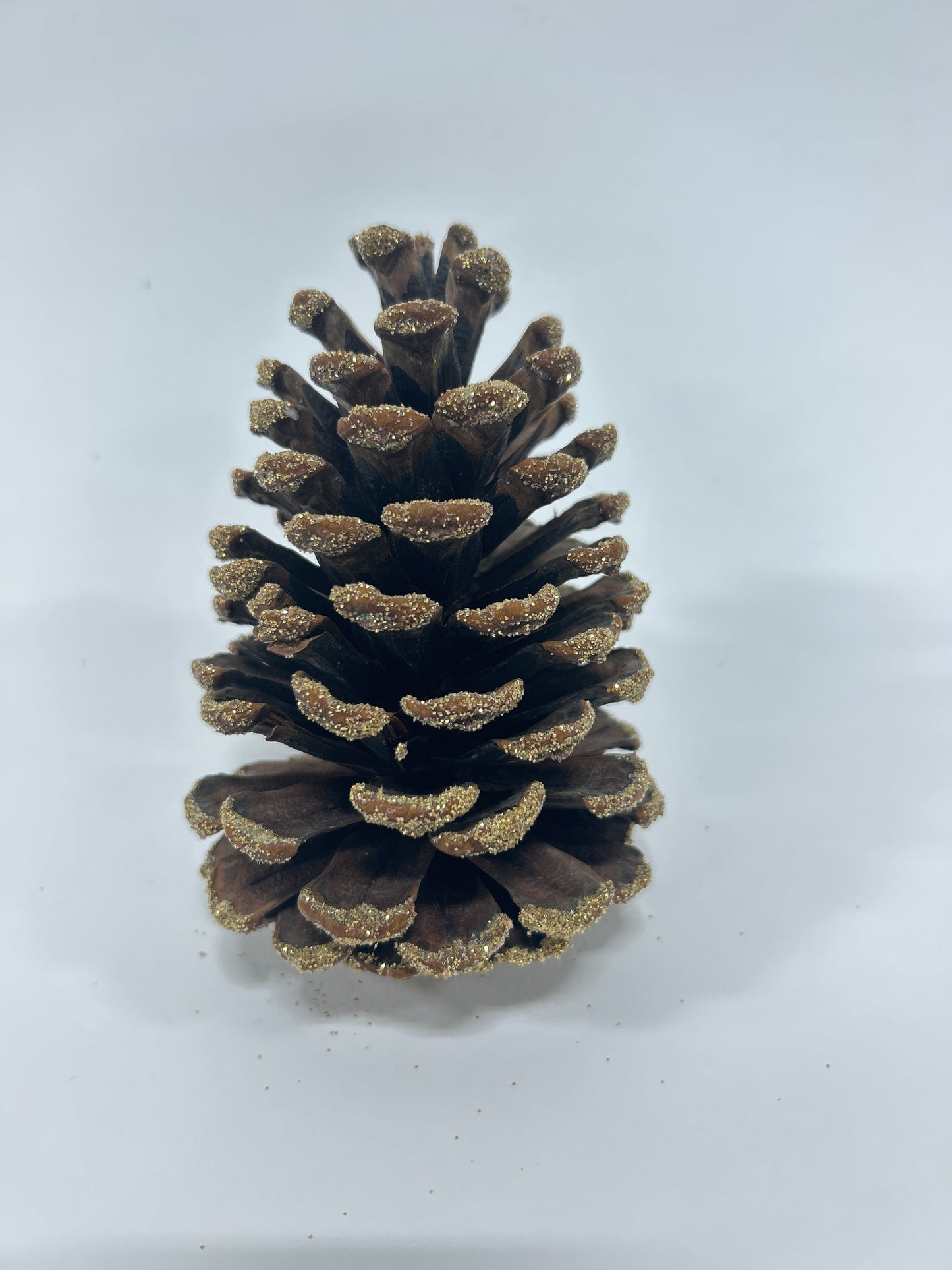 Slash Cones (4-6"), 100 Pcs - 18" Hyacinth Pick