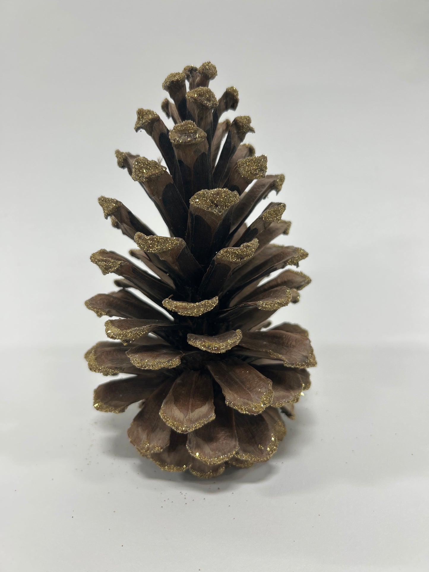 Long Leaf Cones (6-8"), 100 Pcs