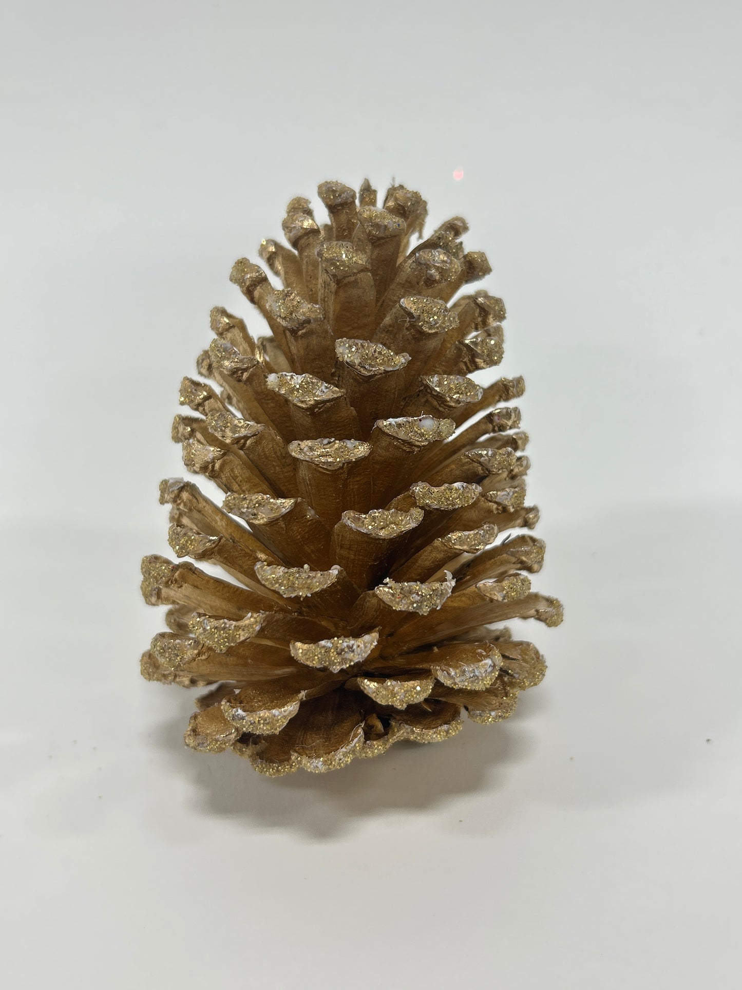 Slash Cones (4-6"), 100 Pcs - 18" Hyacinth Pick