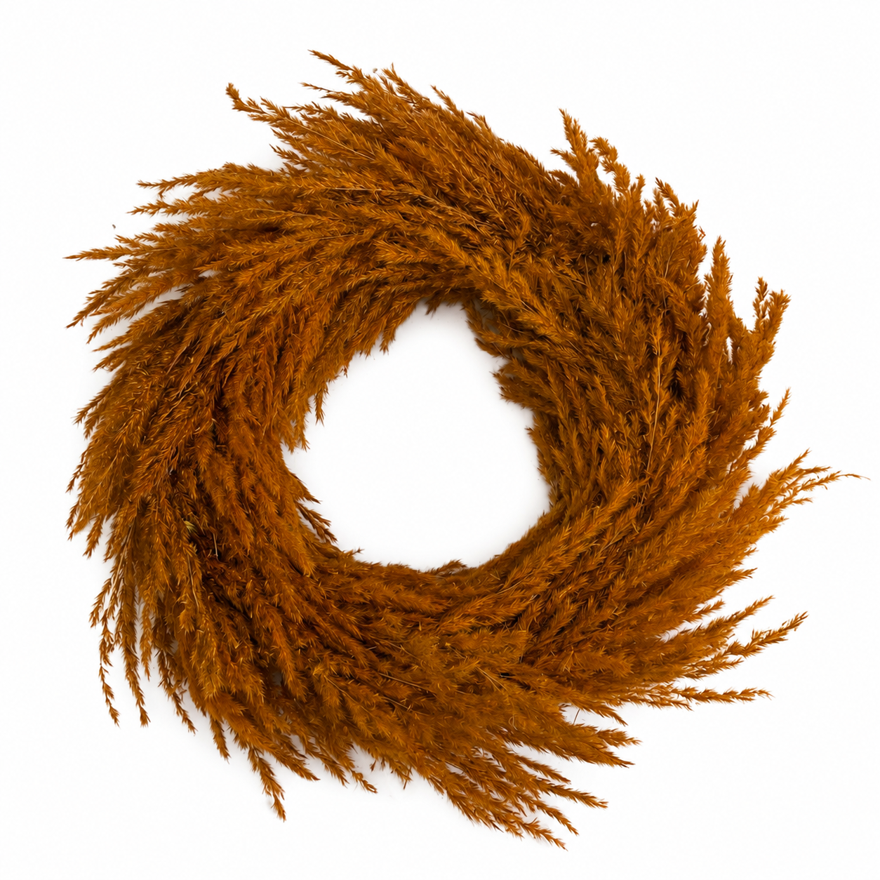 16" Preserved Pampas Grass Wreath