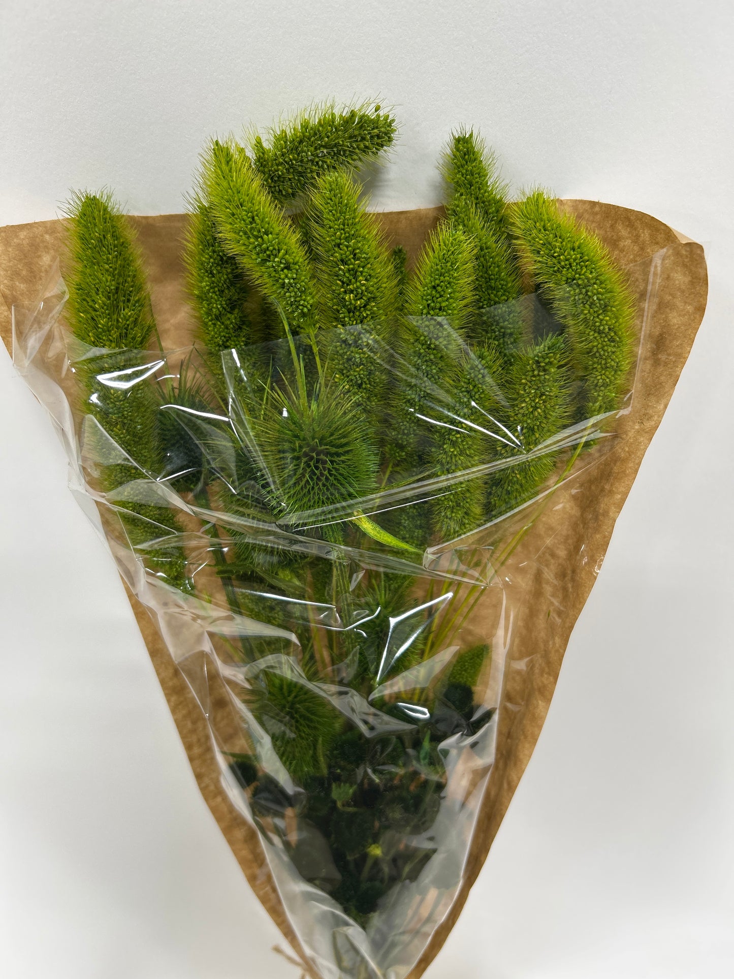 Mix Dried Flower Bouquet 9/cs