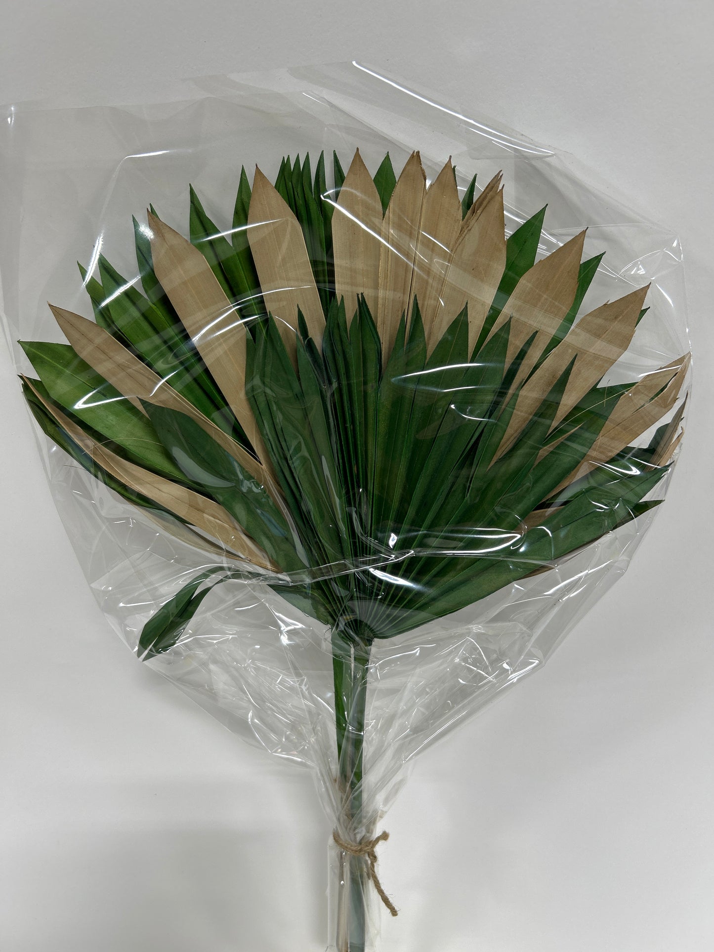 Palm Sun Cut