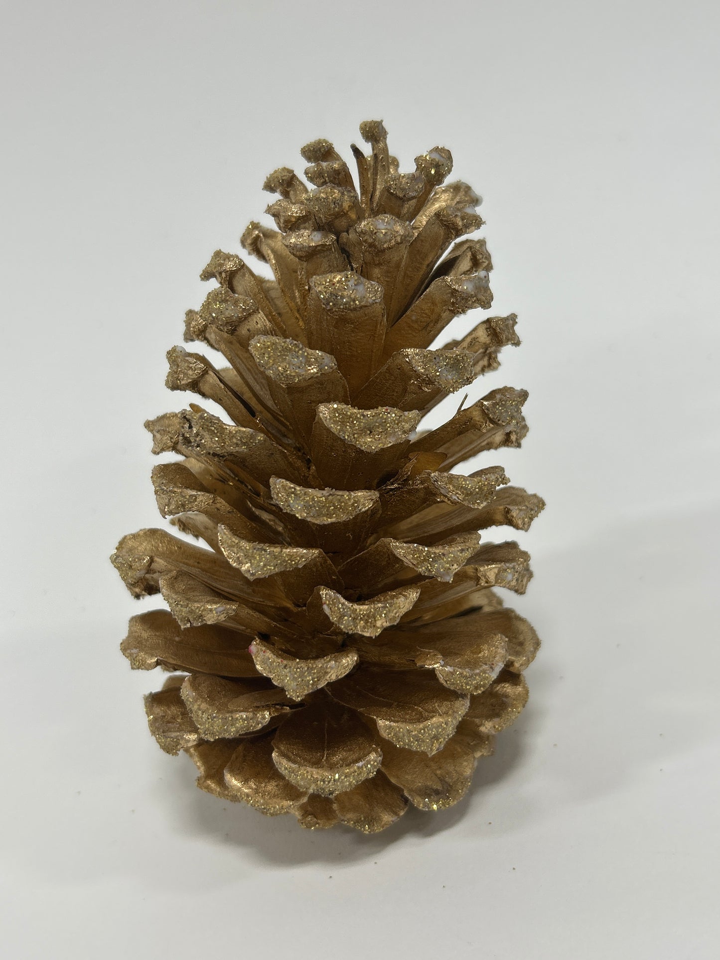 Long Leaf Cones (6-8"), 100 Pcs