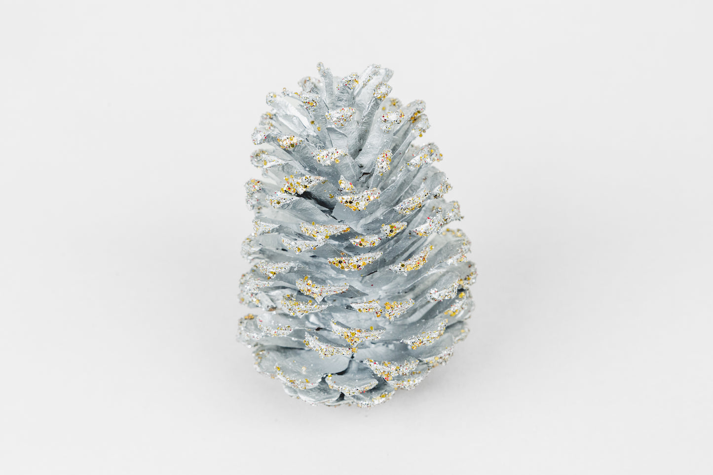 Loblolly Cones (3-4"), 100 Pcs
