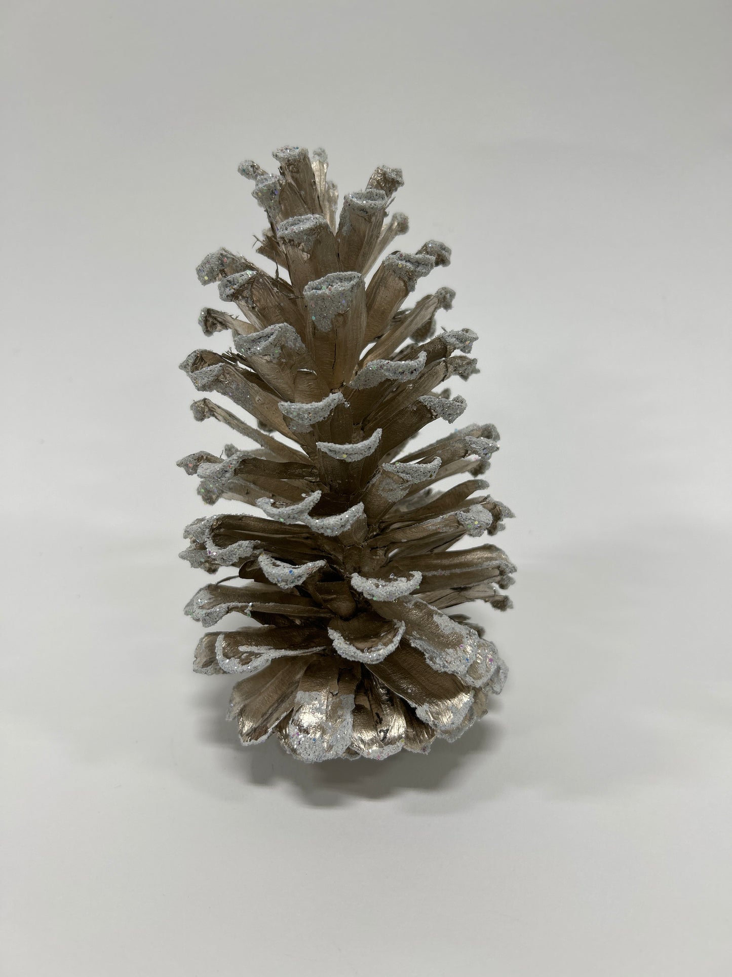 Long Leaf Cones (6-8"), 100 Pcs