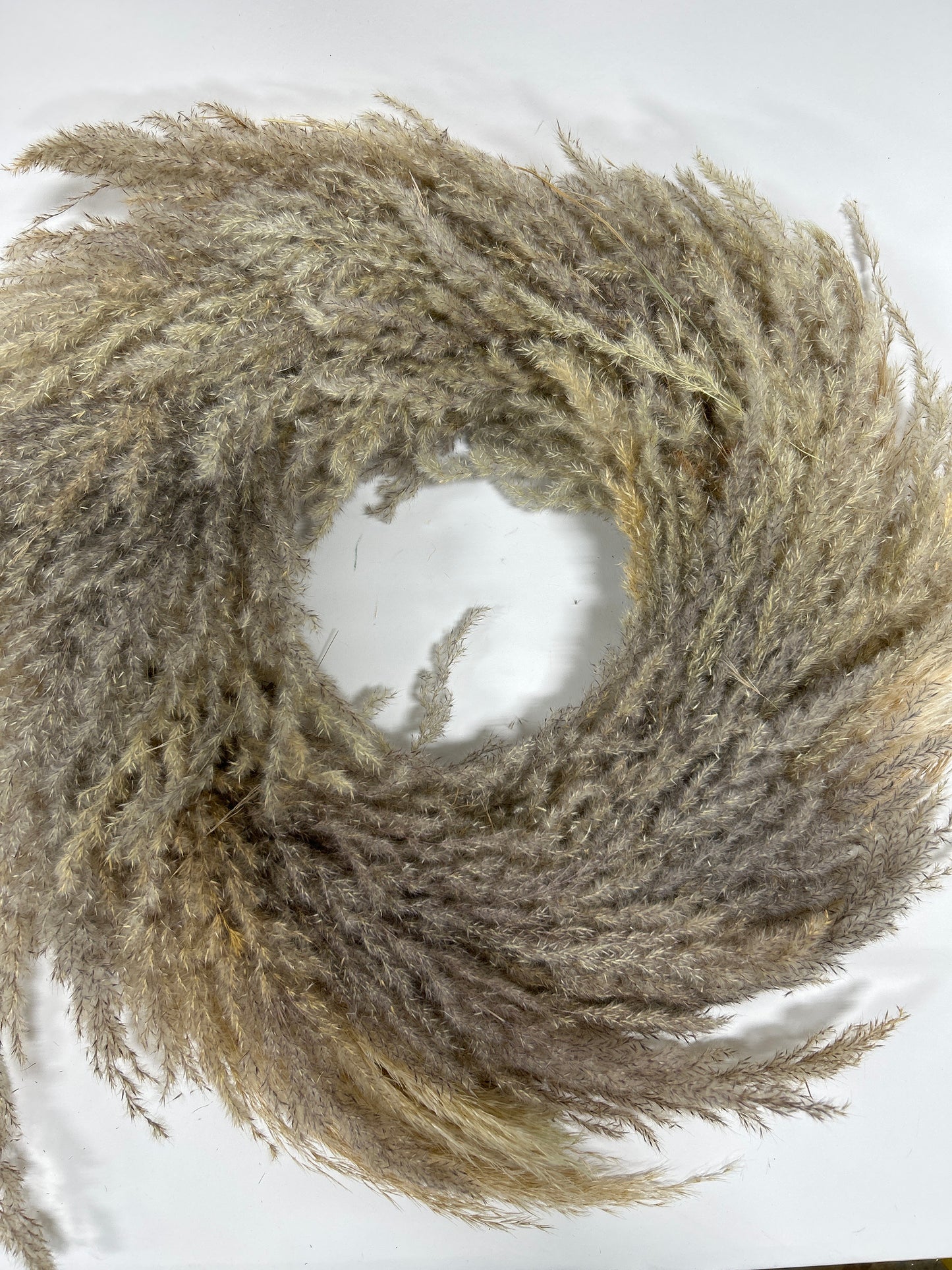 Pampas Wreath 6/cs