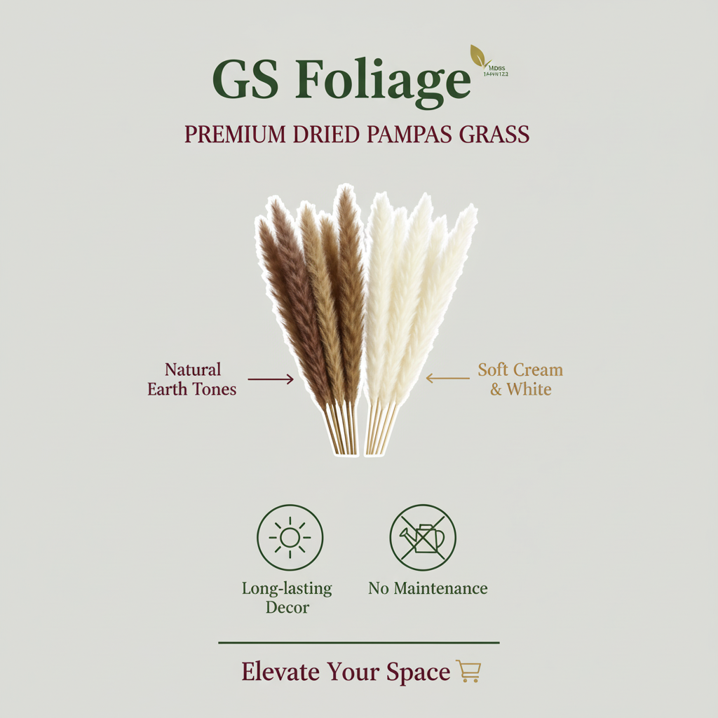 Dried Pampas Grass – Natural or White - 15pc Bunch