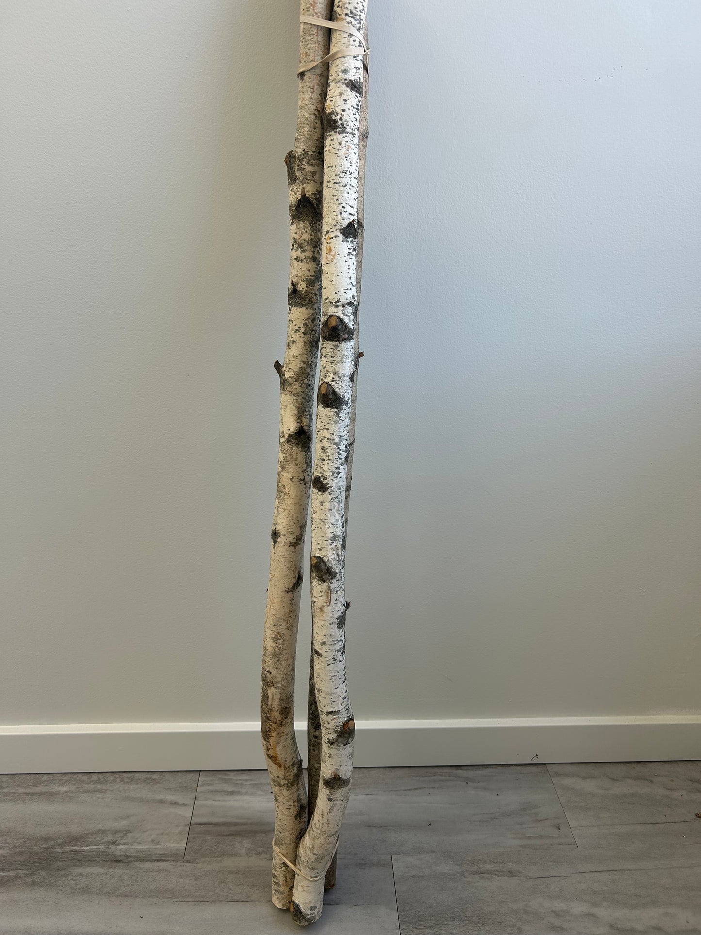 Birch Poles