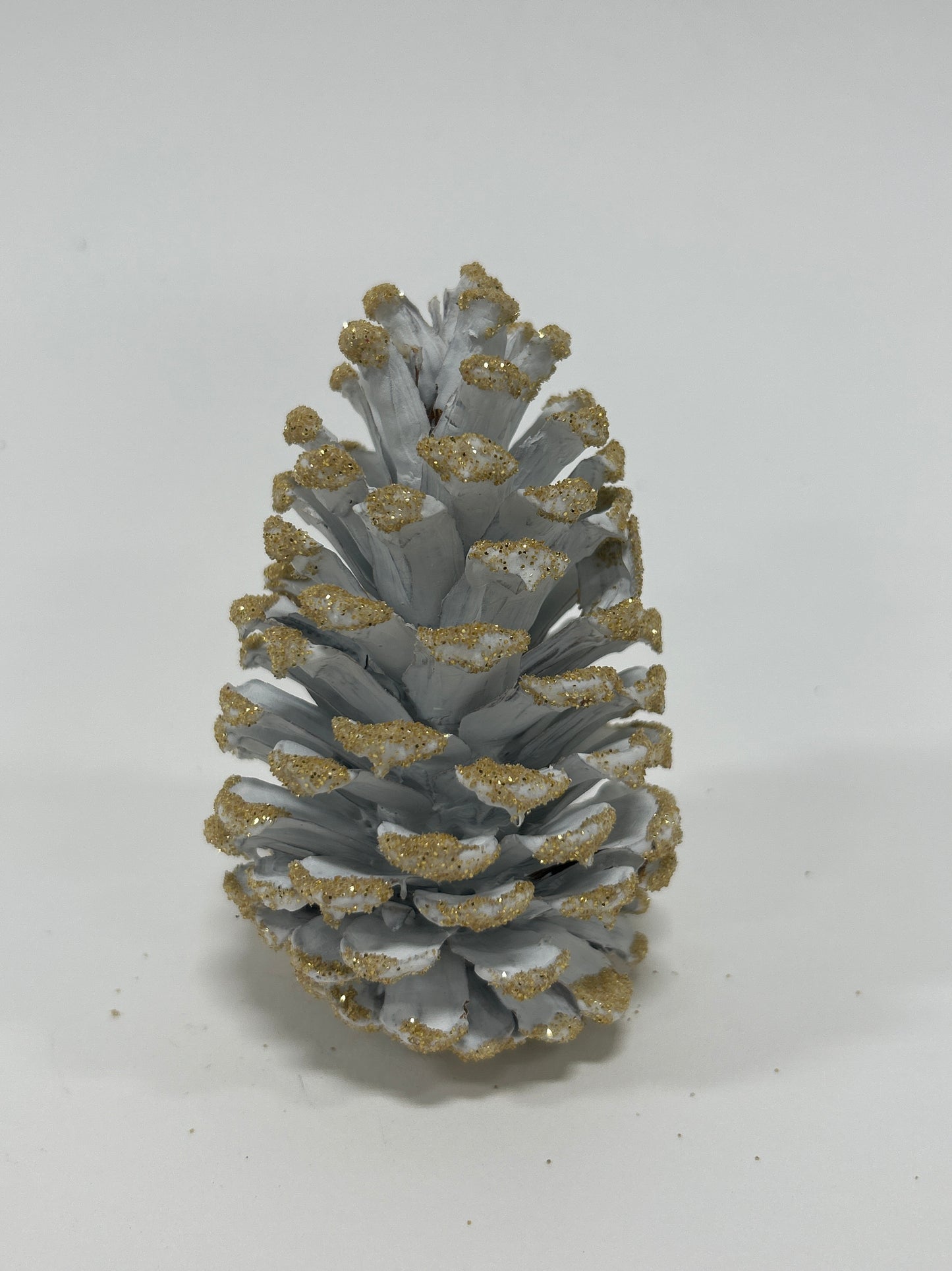 Loblolly Cones (3-4"), 100 Pcs