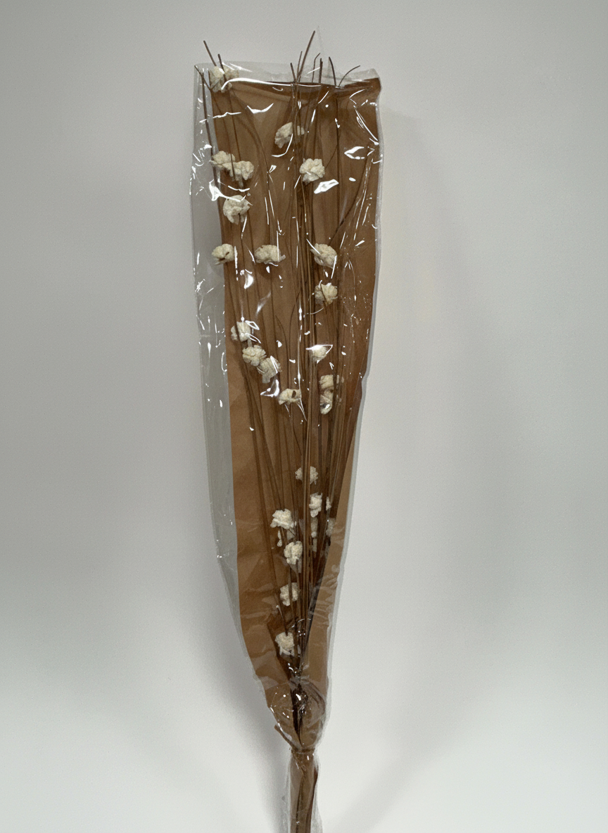 Ting with Sola Flower Bunch