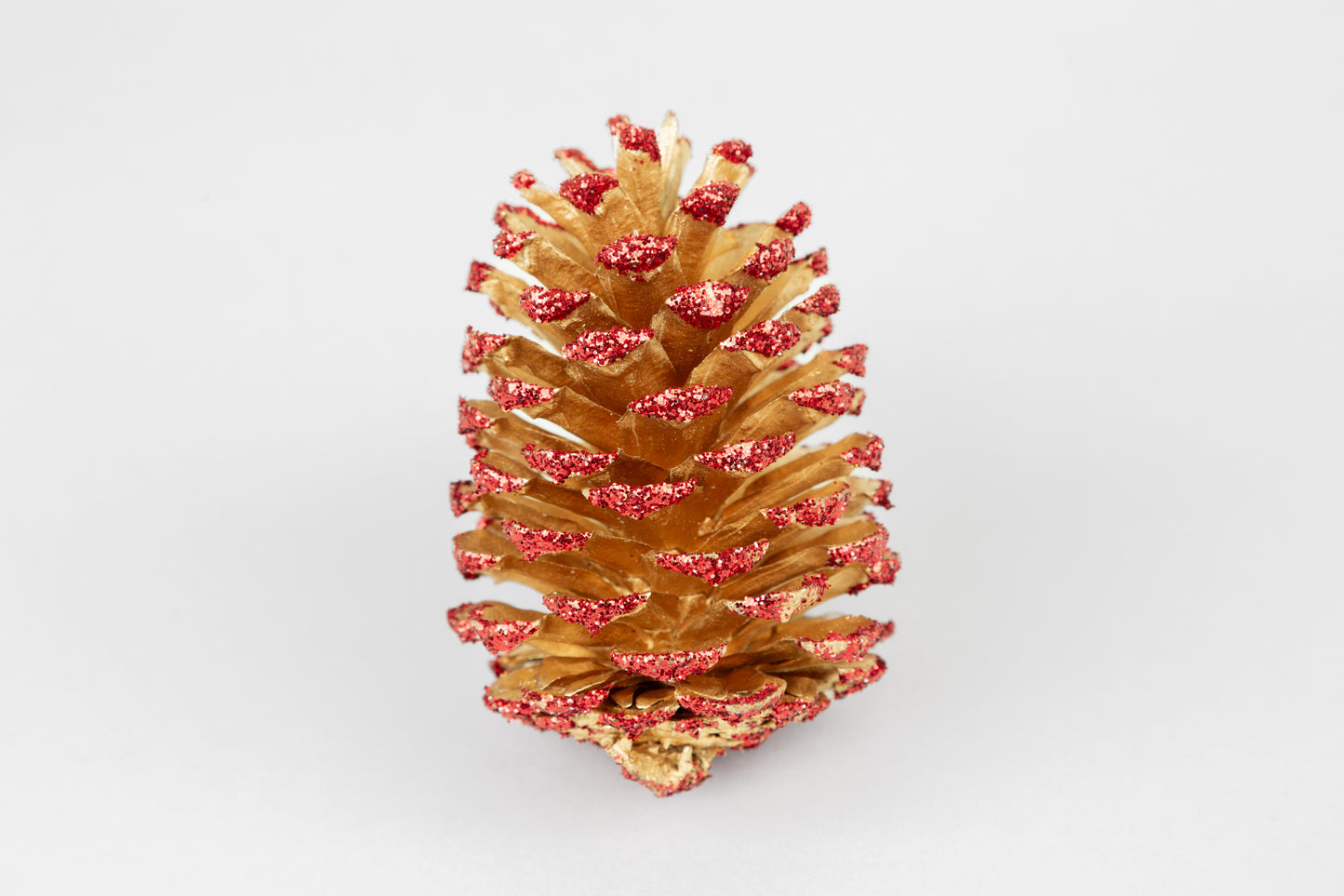 Loblolly Cones (3-4"), 100 Pcs
