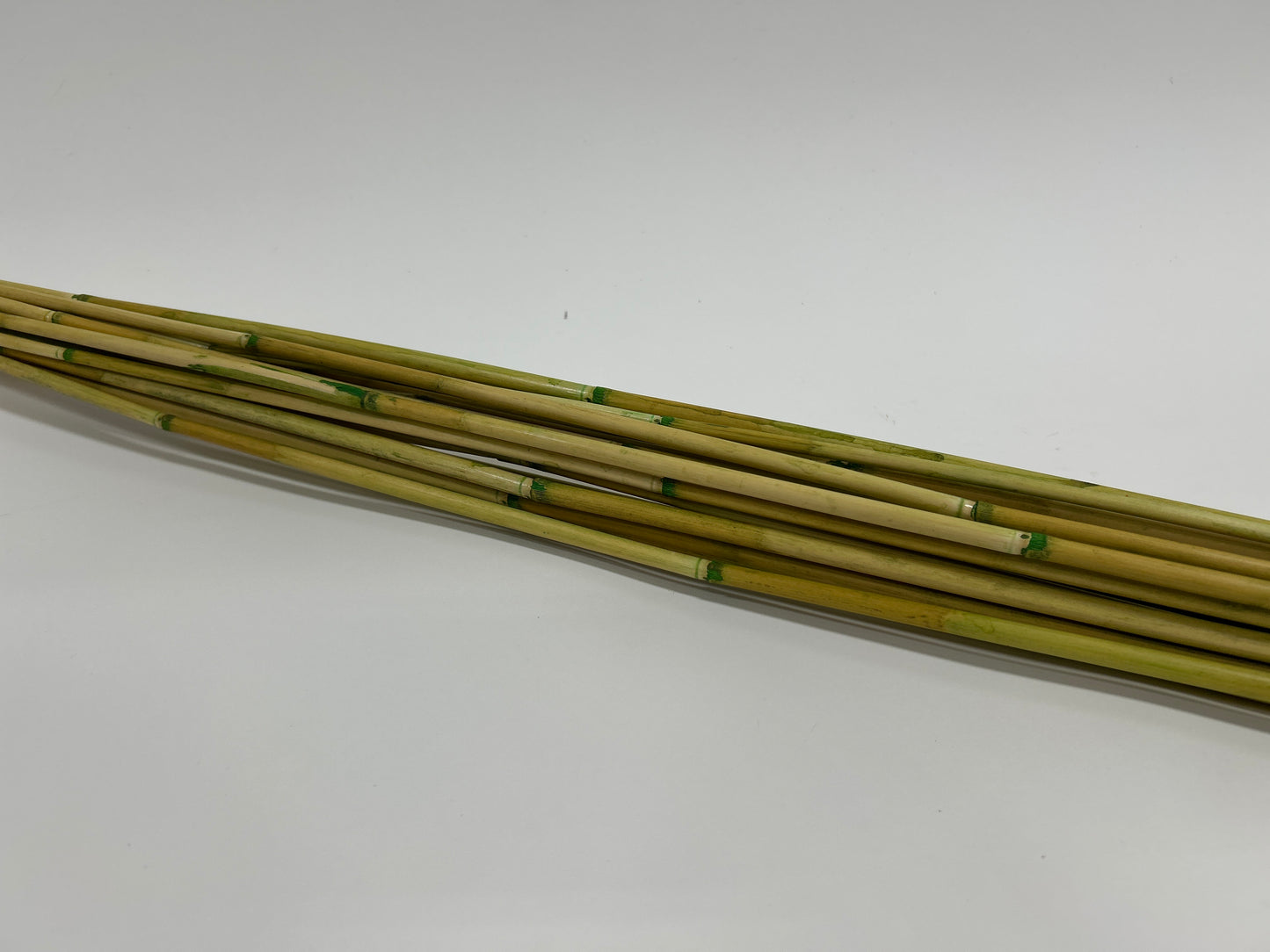 Natural River Cane Stalks