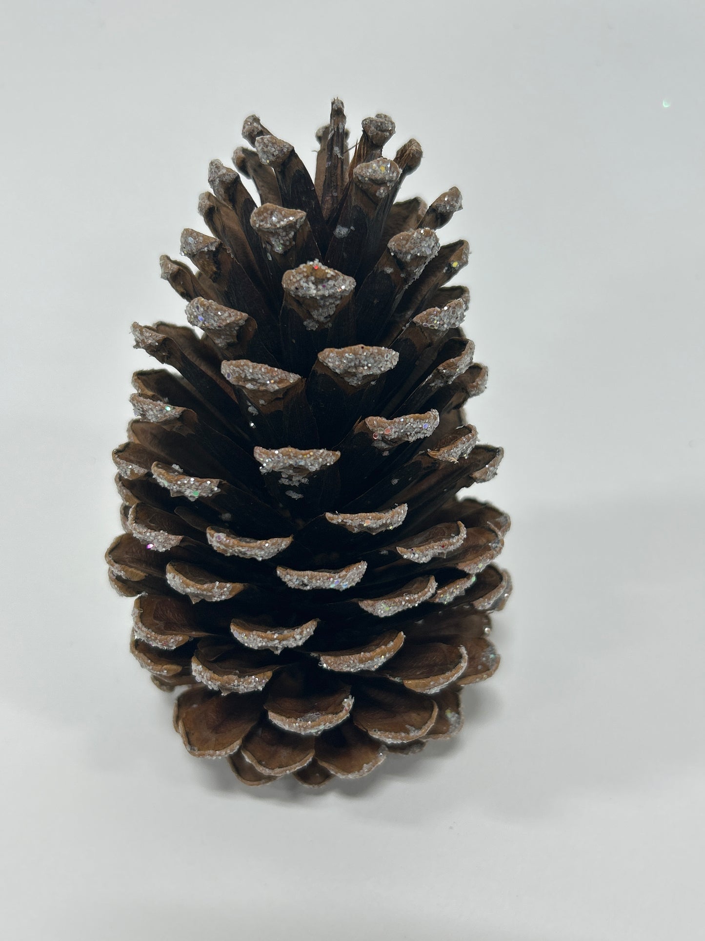 Slash Cones (4-6"), 100 Pcs - 18" Hyacinth Pick