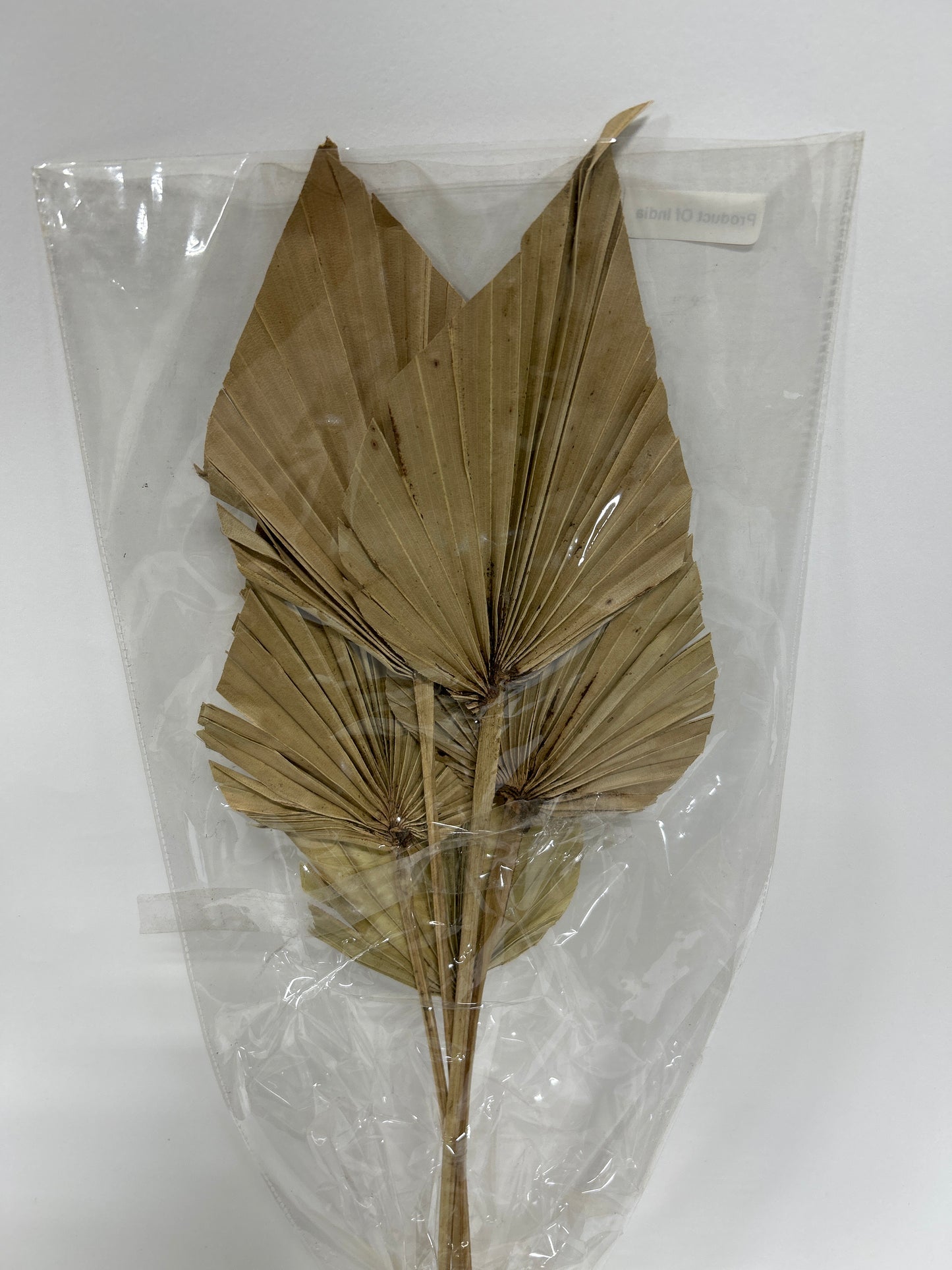 Natural Palm Spear 20"