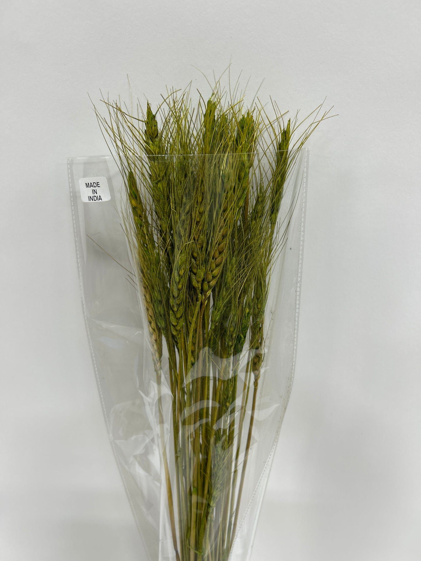 Wheat Grass 50gm Green 24/case