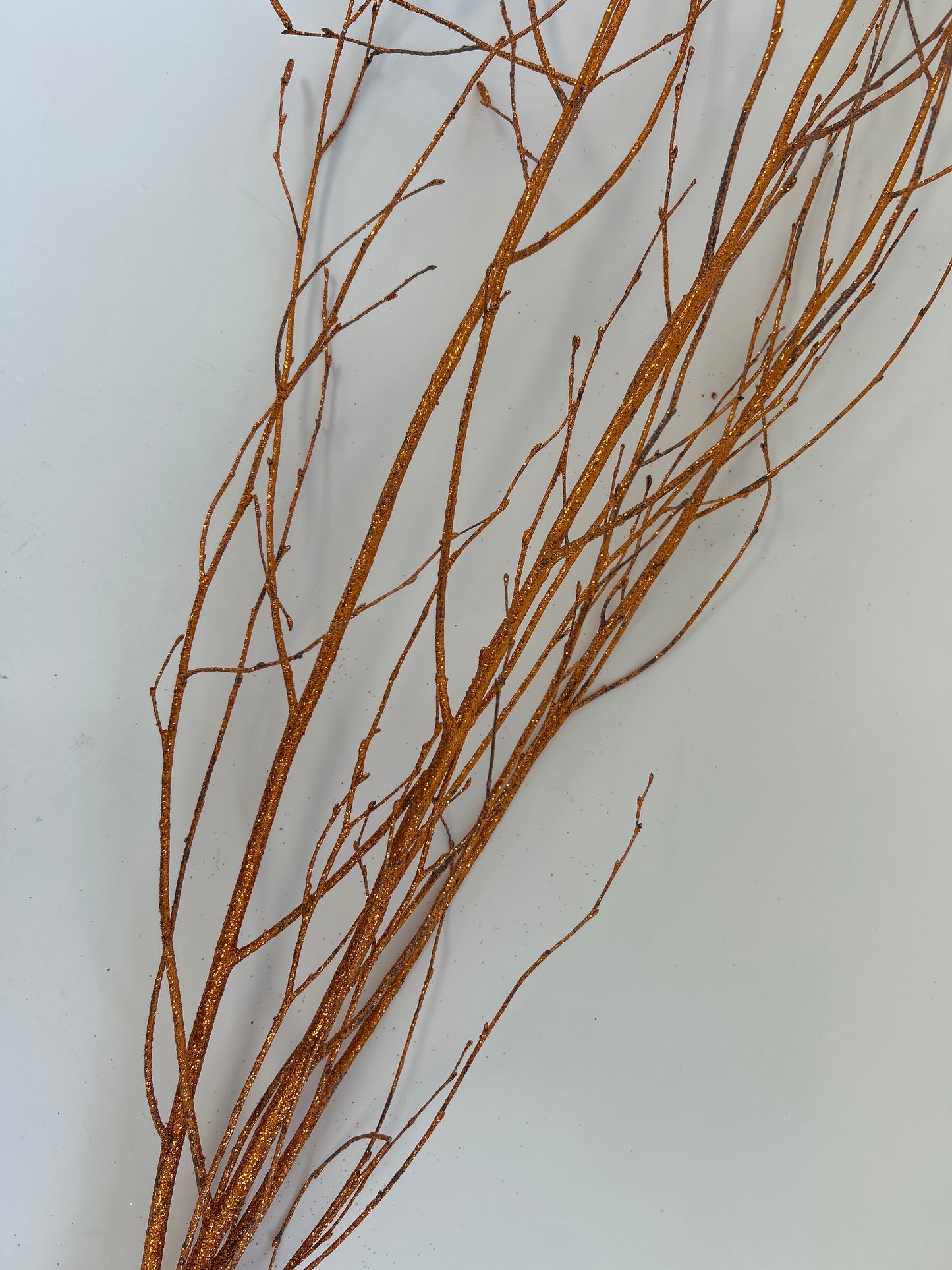 Birch Branches