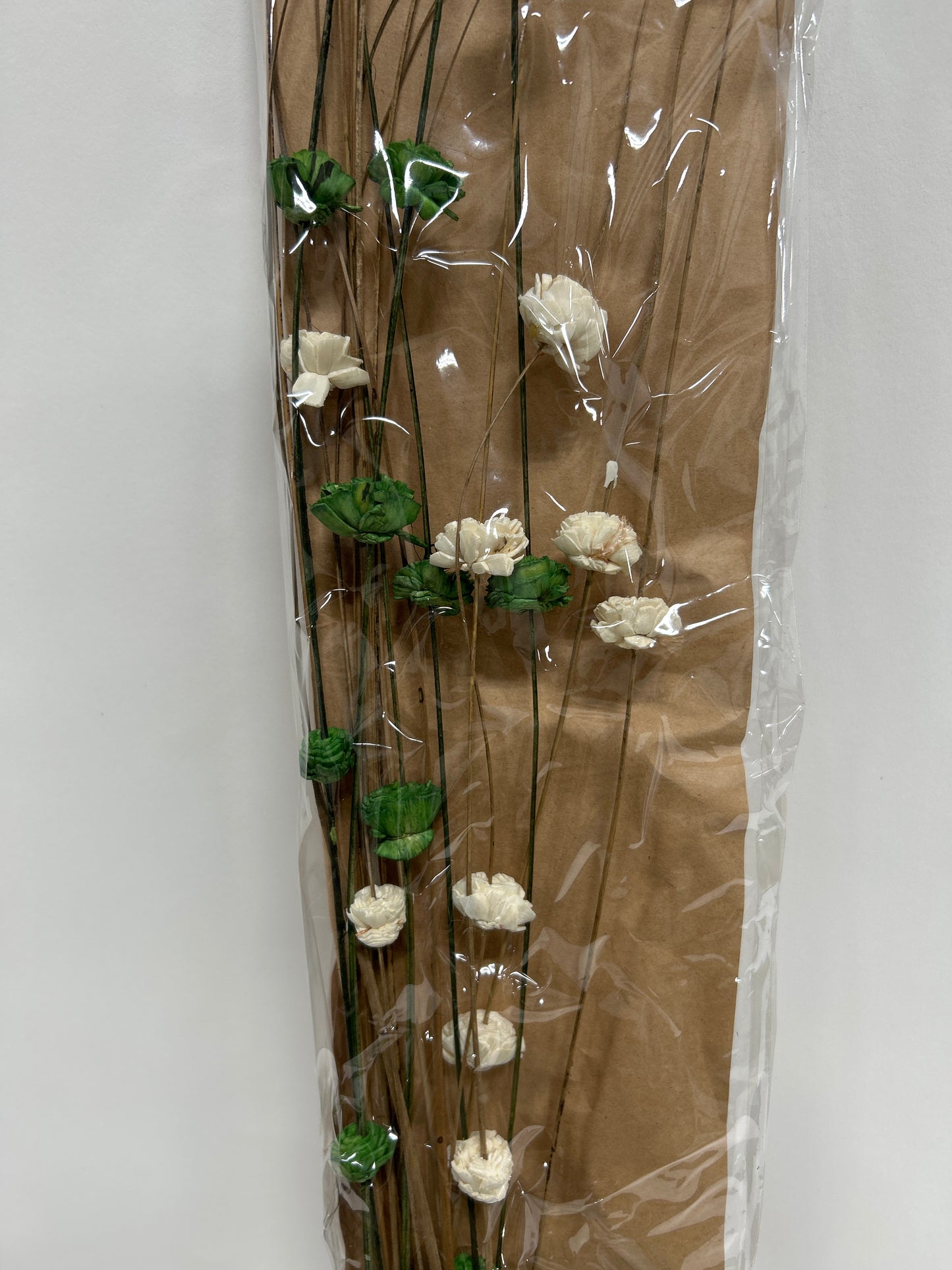 Ting Ting with Sola Flower Bunch