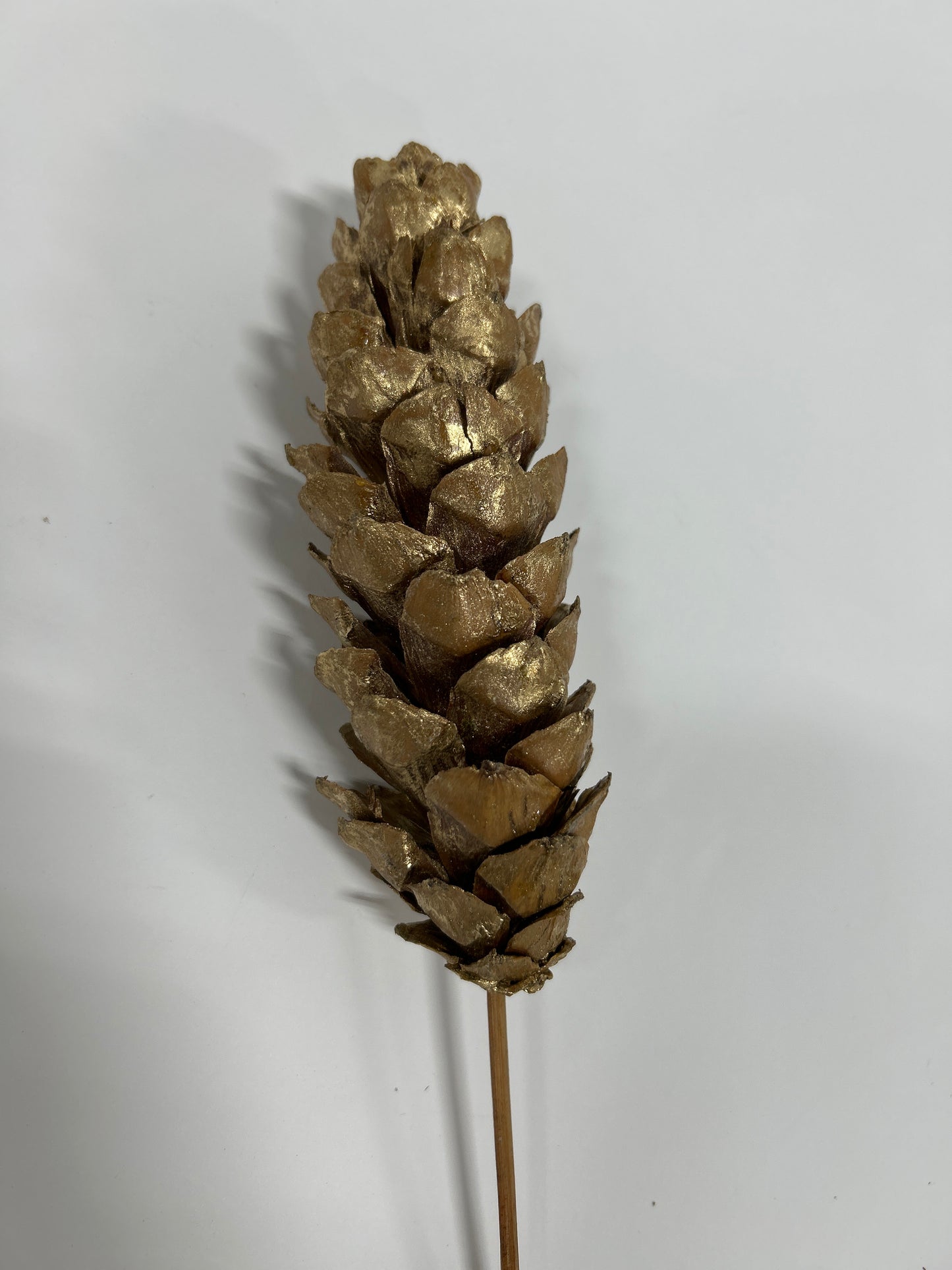 Strobius Cones with 6" wood pick 100pcs