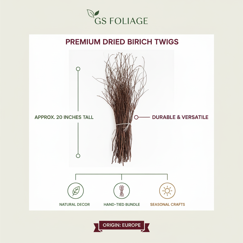 Natural Birch Twigs 18-28" | 20pc Bunch