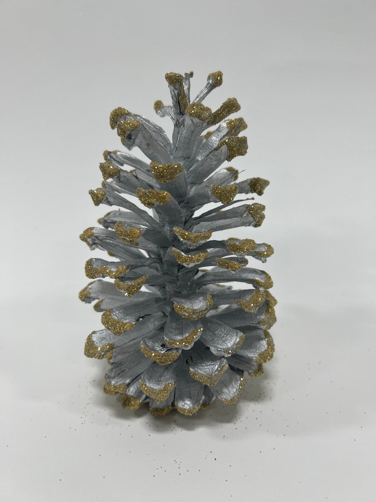 Long Leaf Cones (6-8"), 100 Pcs