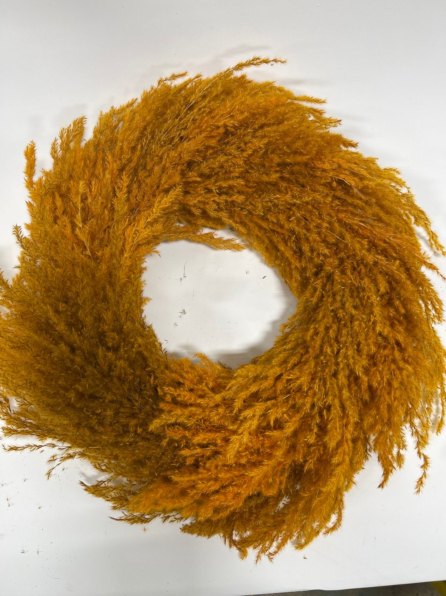 Pampas Wreath 6/cs