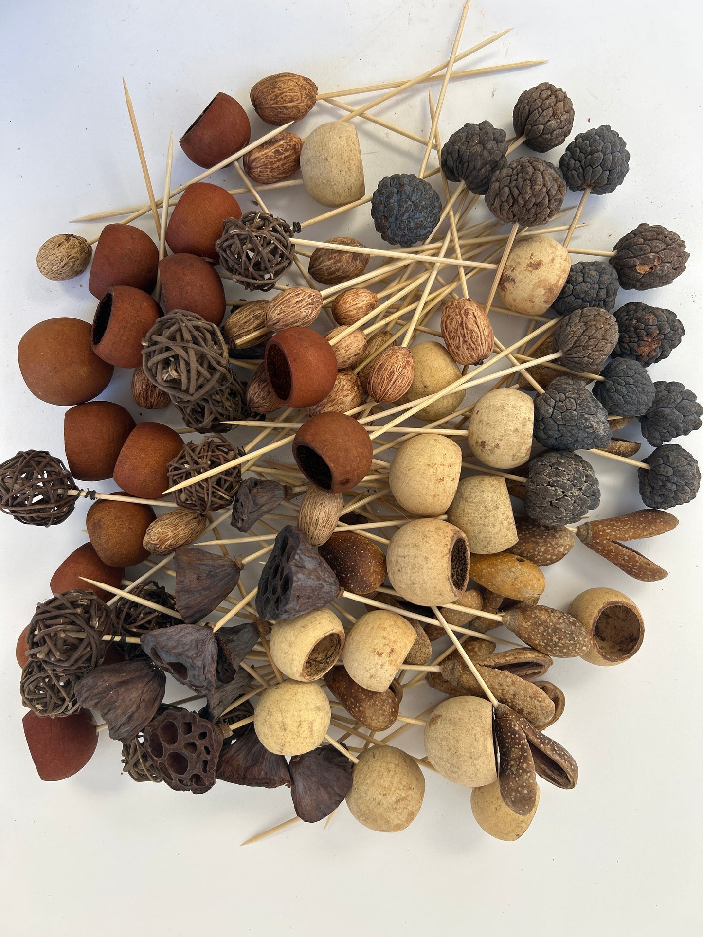 Deluxe Pod Assortments - 6" pick