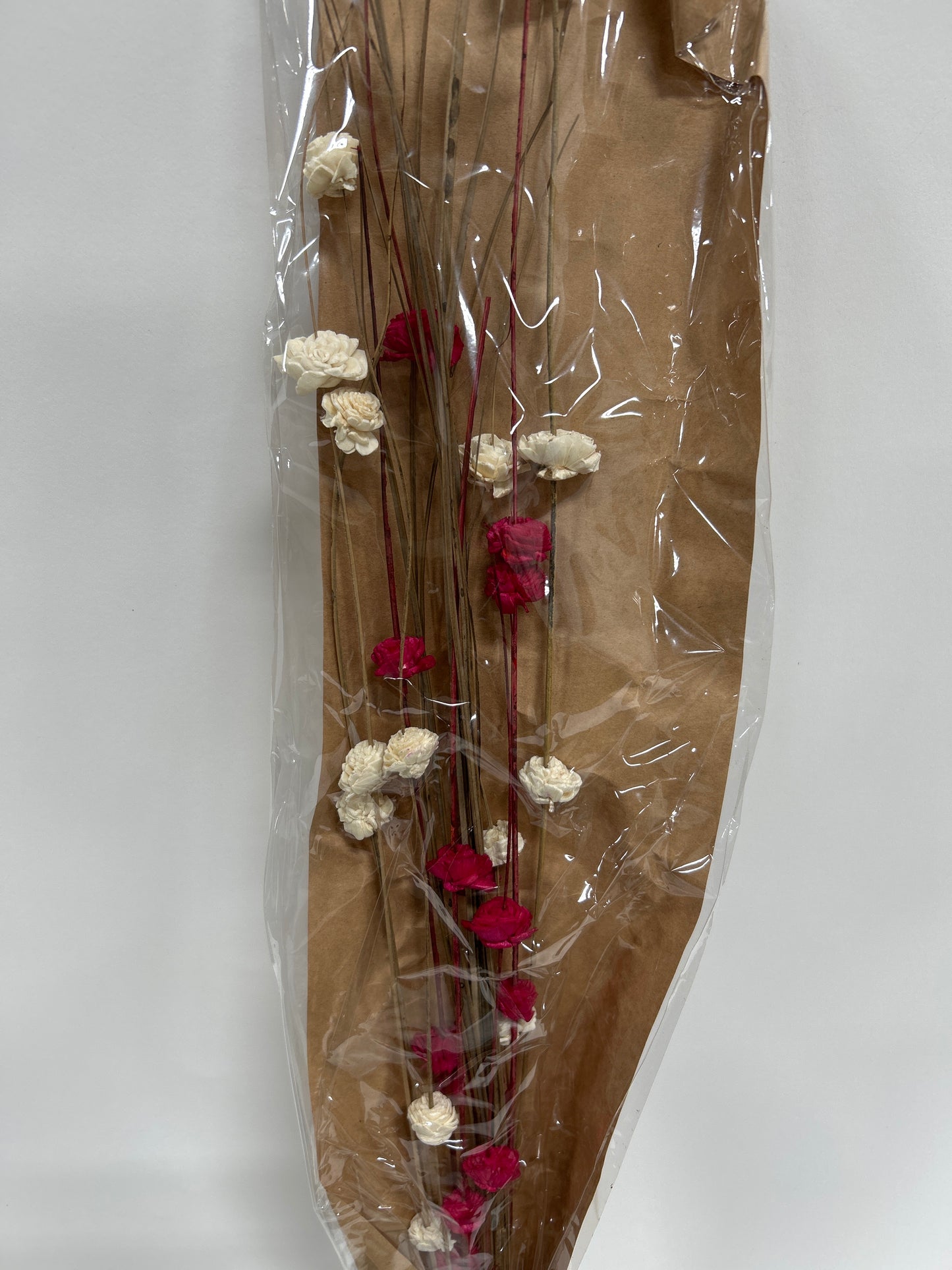 Ting Ting with Sola Flower Bunch