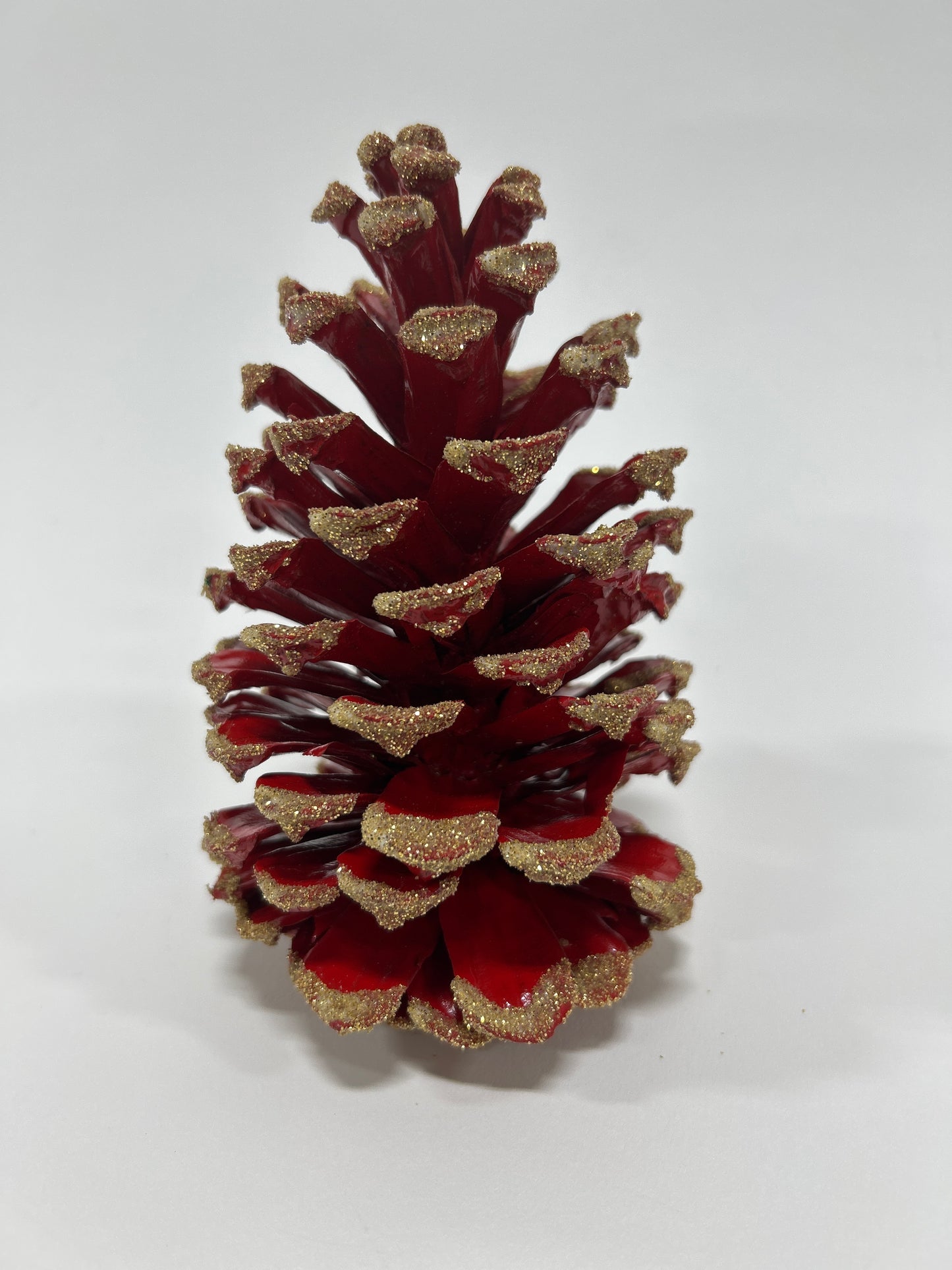 Long Leaf Cones (6-8"), 100 Pcs