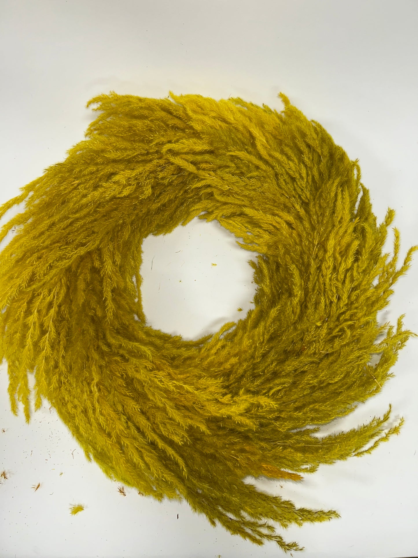 Pampas Wreath 6/cs
