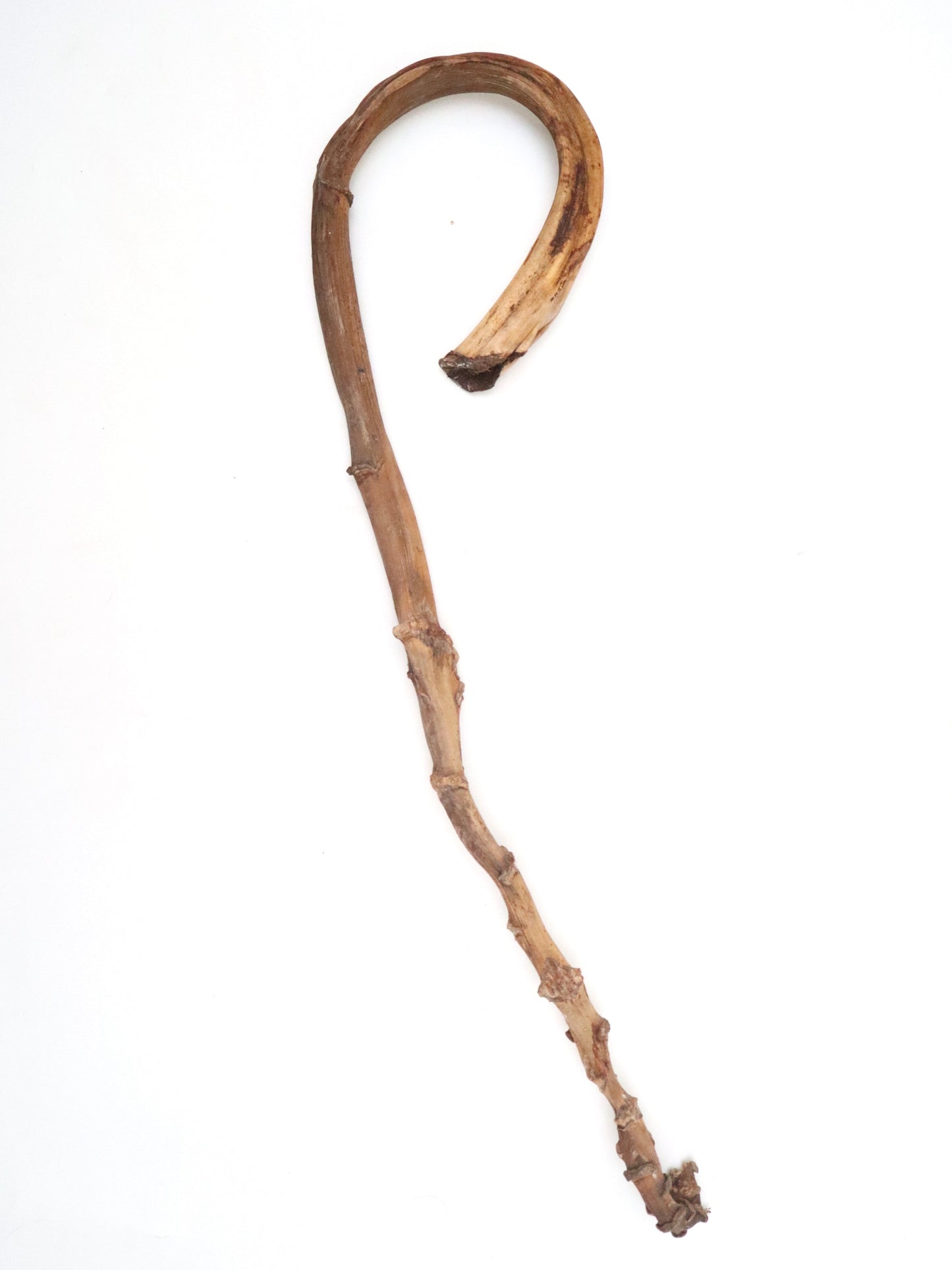 Banana Stick 8bu/5pcs