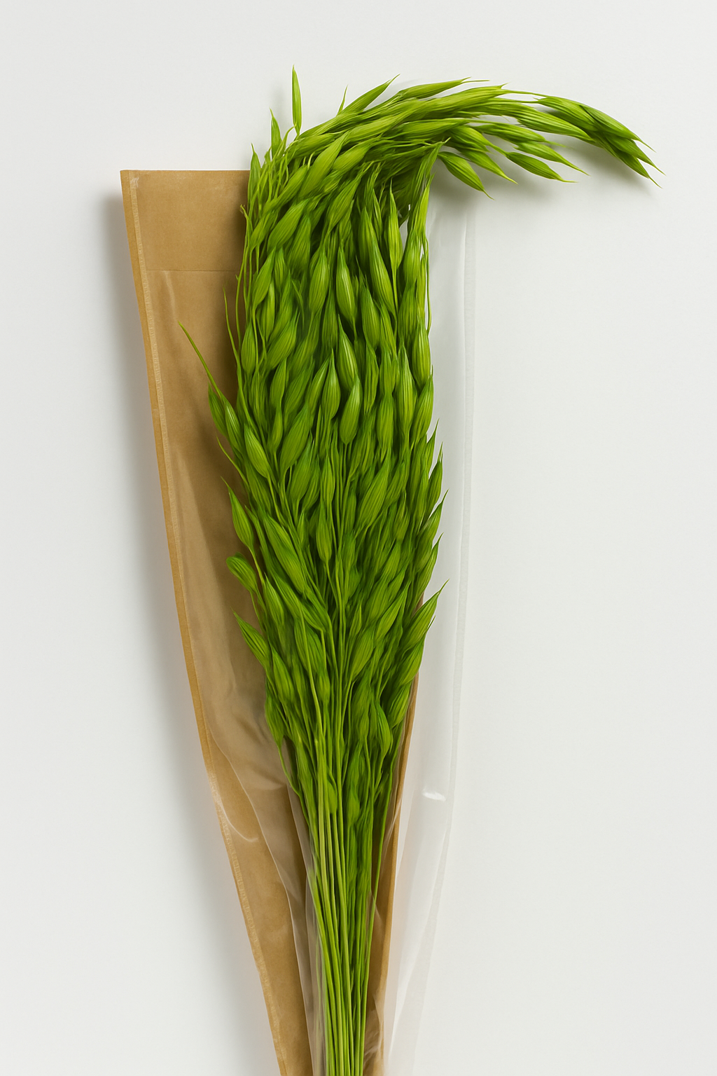 1 bunch of Avana Grass