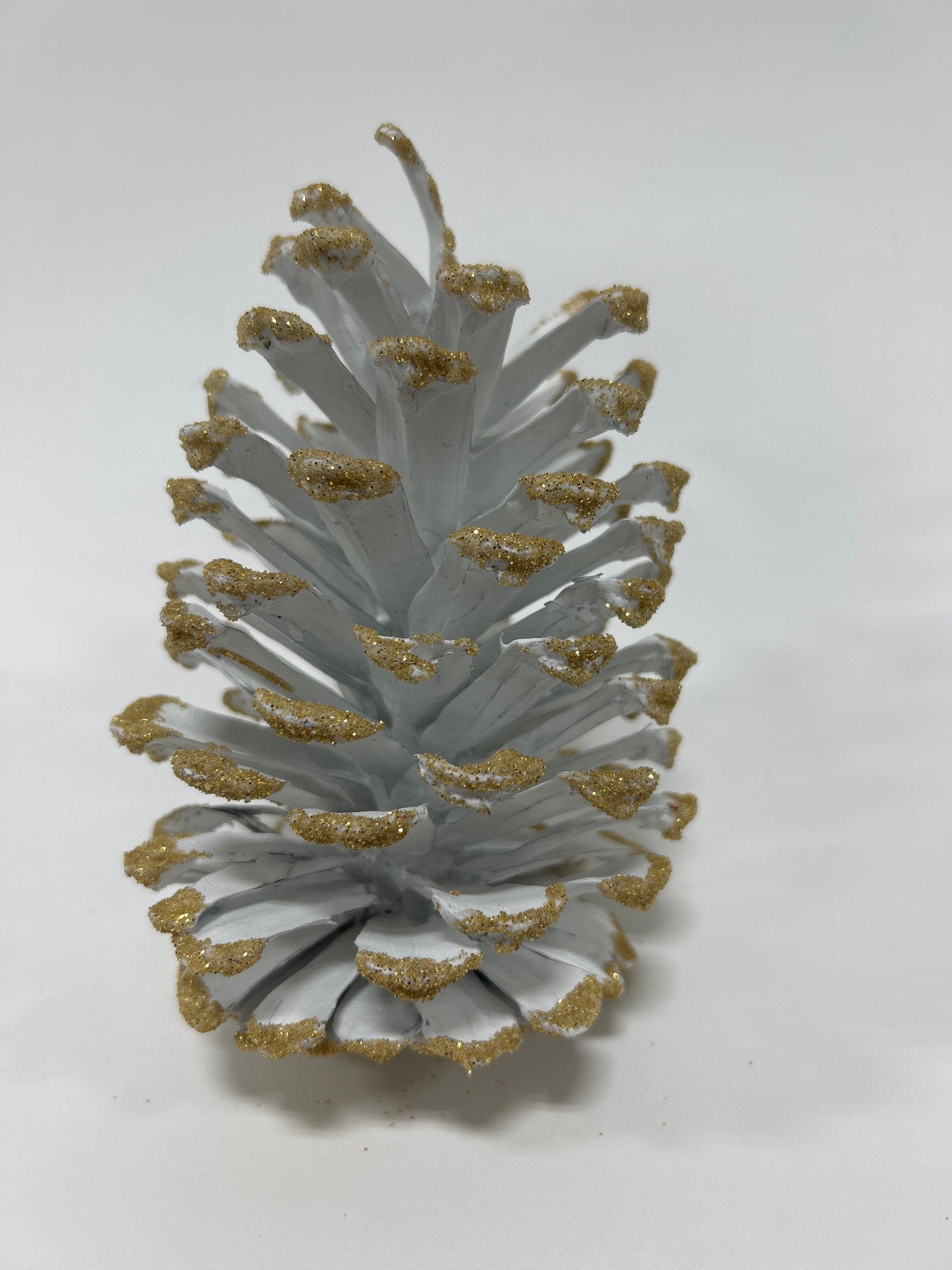 Long Leaf Cones (6-8"), 100 Pcs