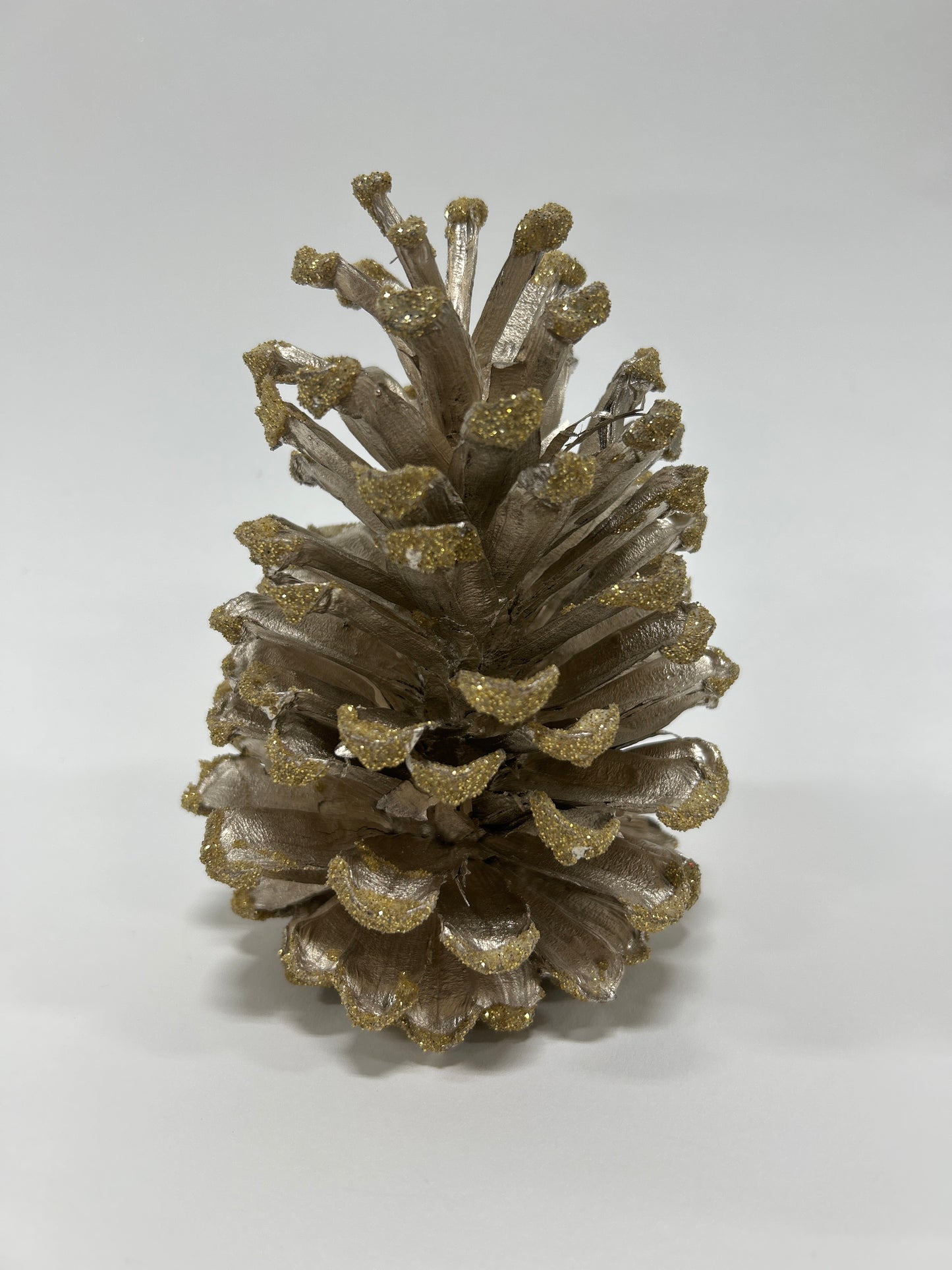 Long Leaf Cones (6-8"), 100 Pcs