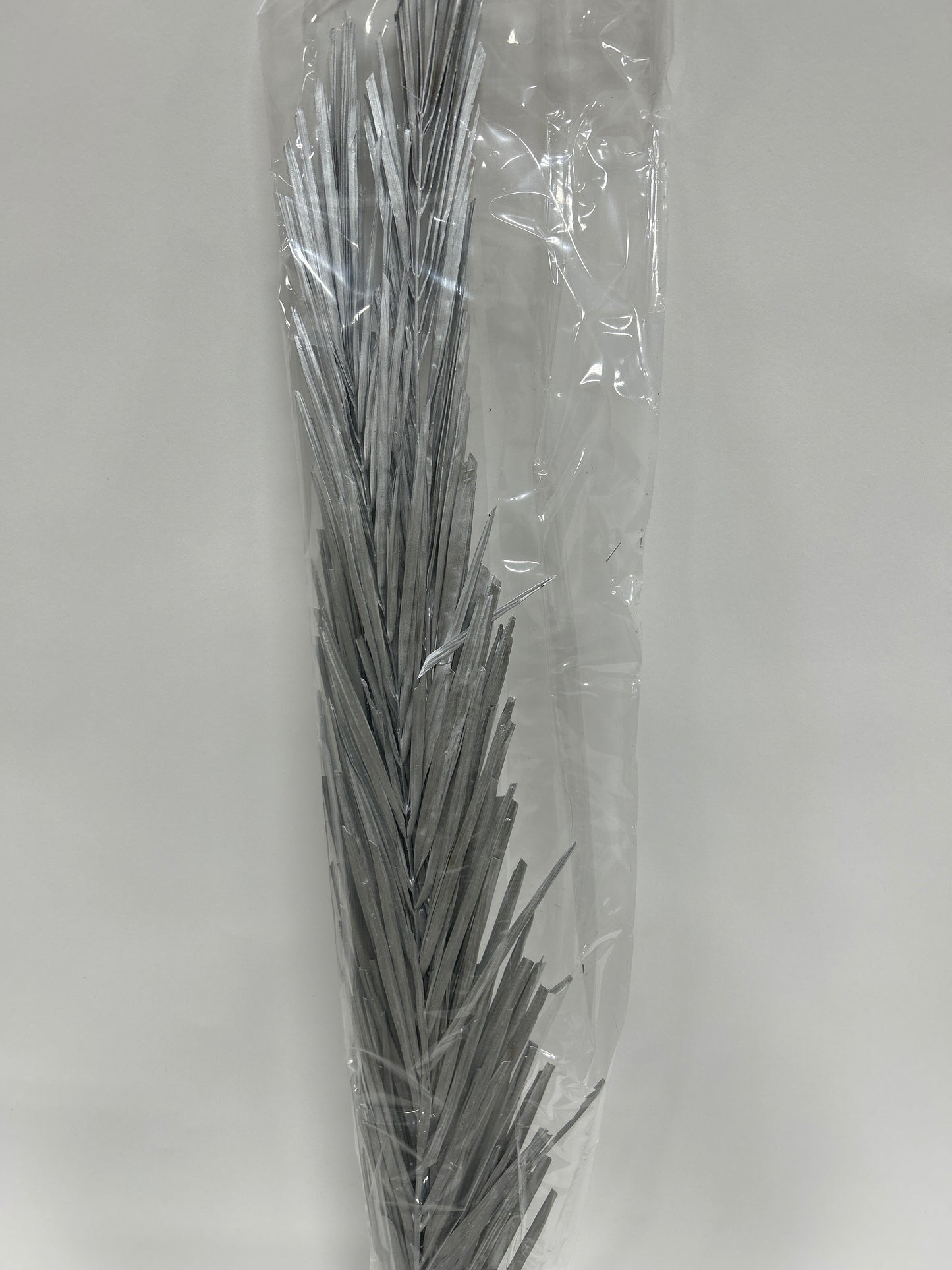 Date Palm Leaves 12/cs