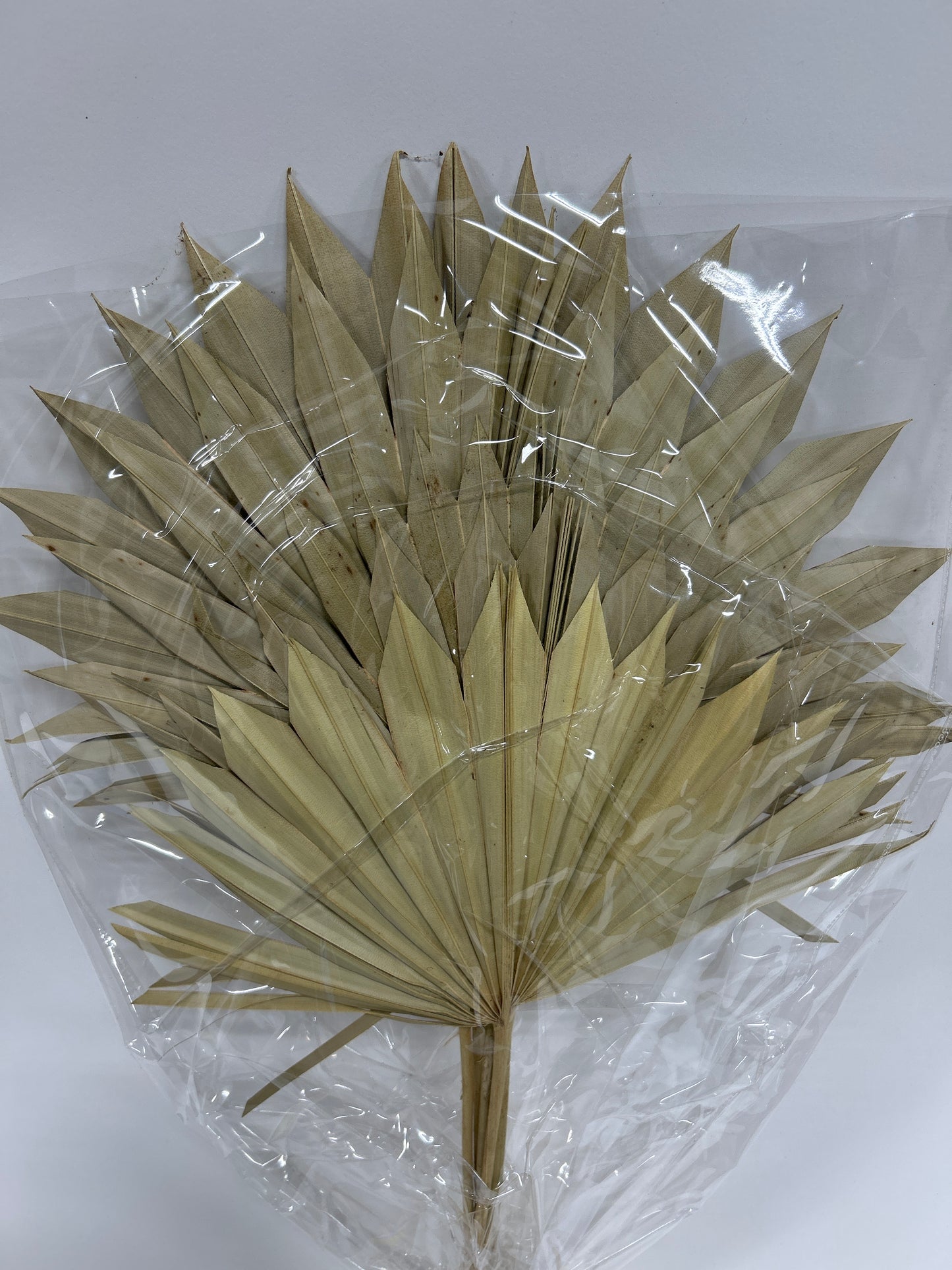 Sun Spear 20-22" Natural