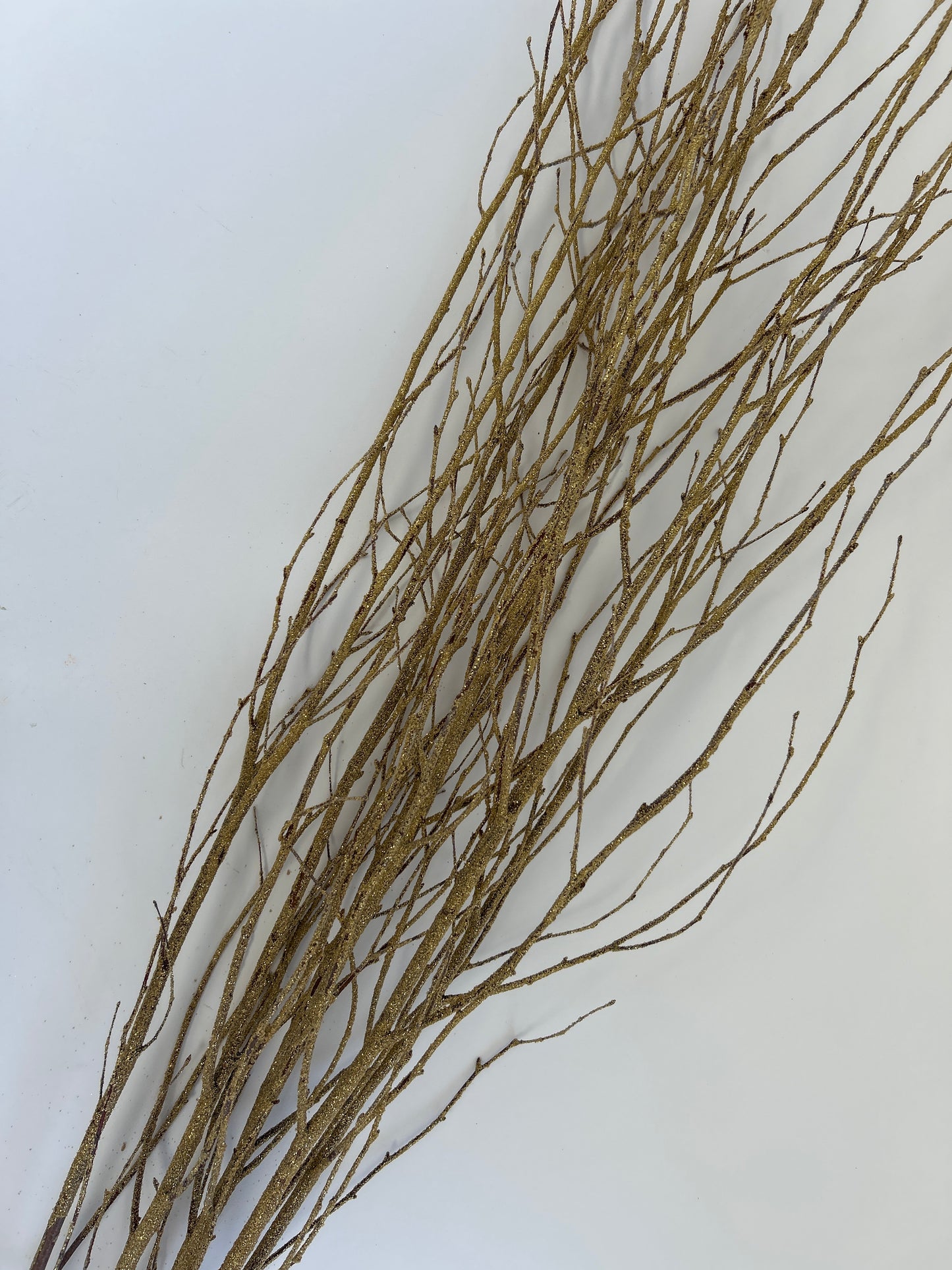 Birch Branches