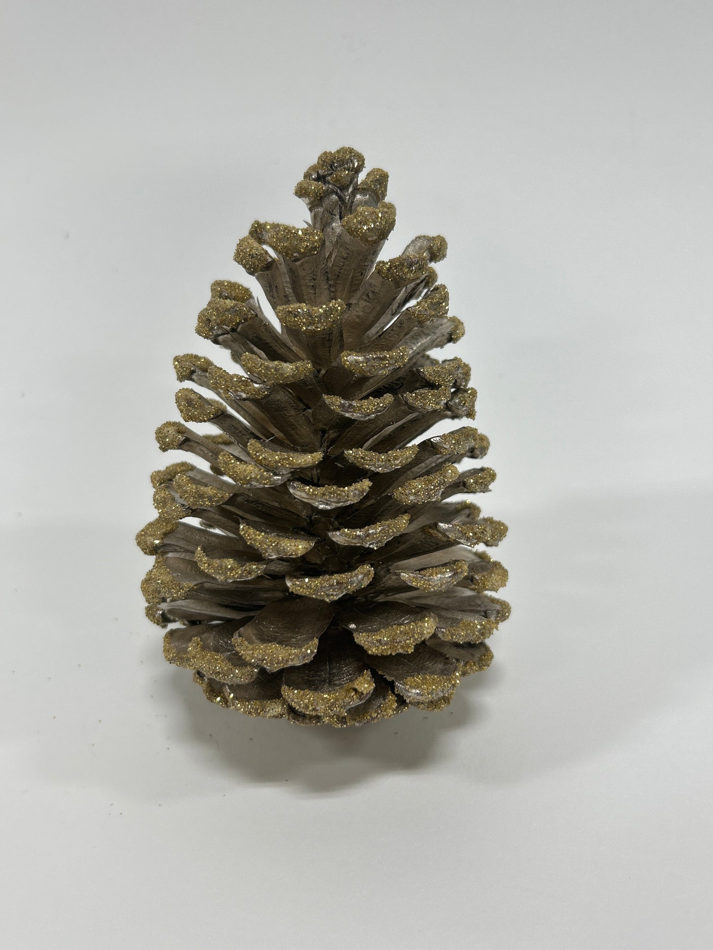 Slash Cones (4-6"), 100 Pcs - 18" Hyacinth Pick