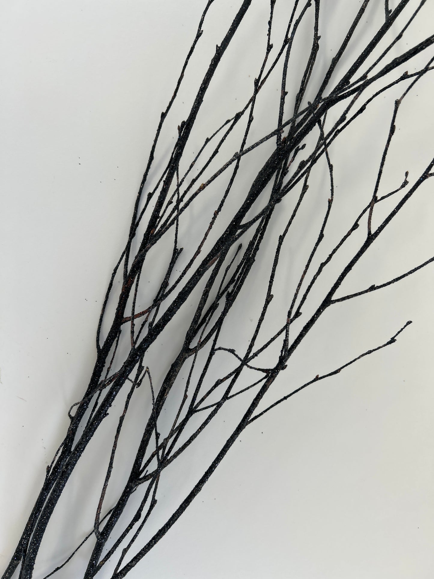 Birch Branches