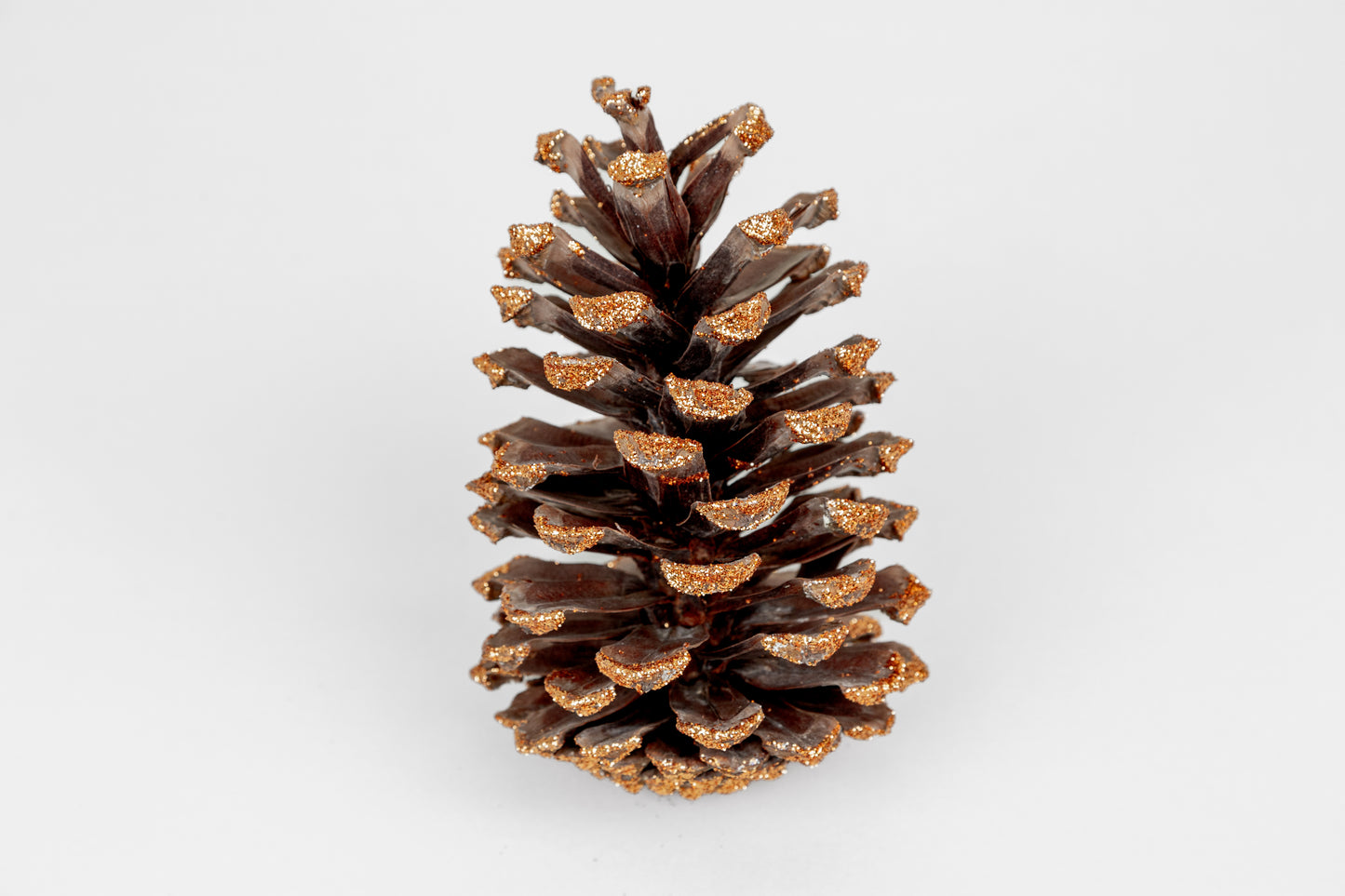 Long Leaf Cones (6-8"), 100 Pcs