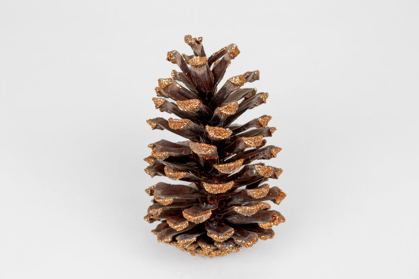 Long Leaf Cones (6-8"), 100 Pcs