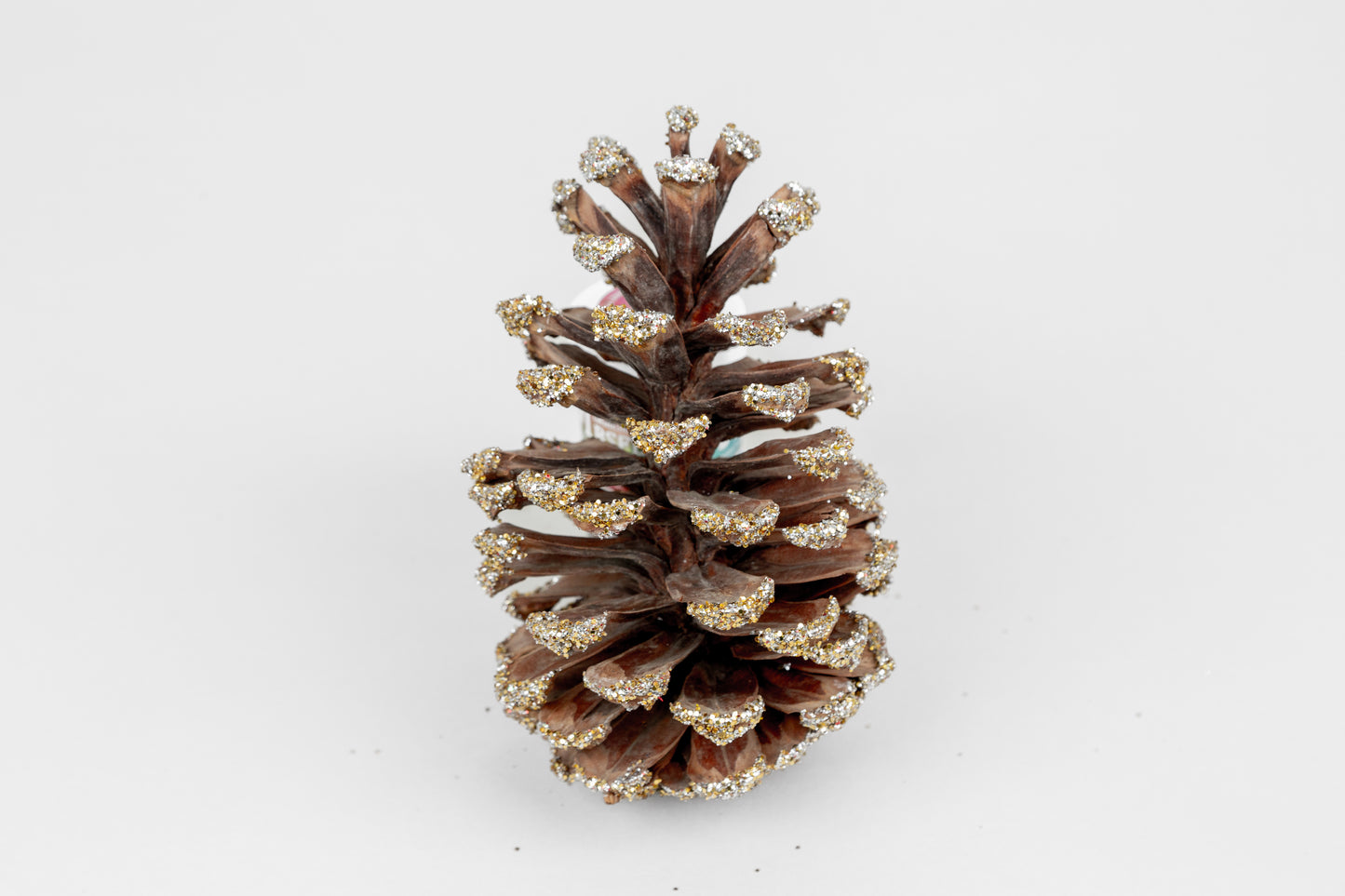 Long Leaf Cones (6-8"), 100 Pcs