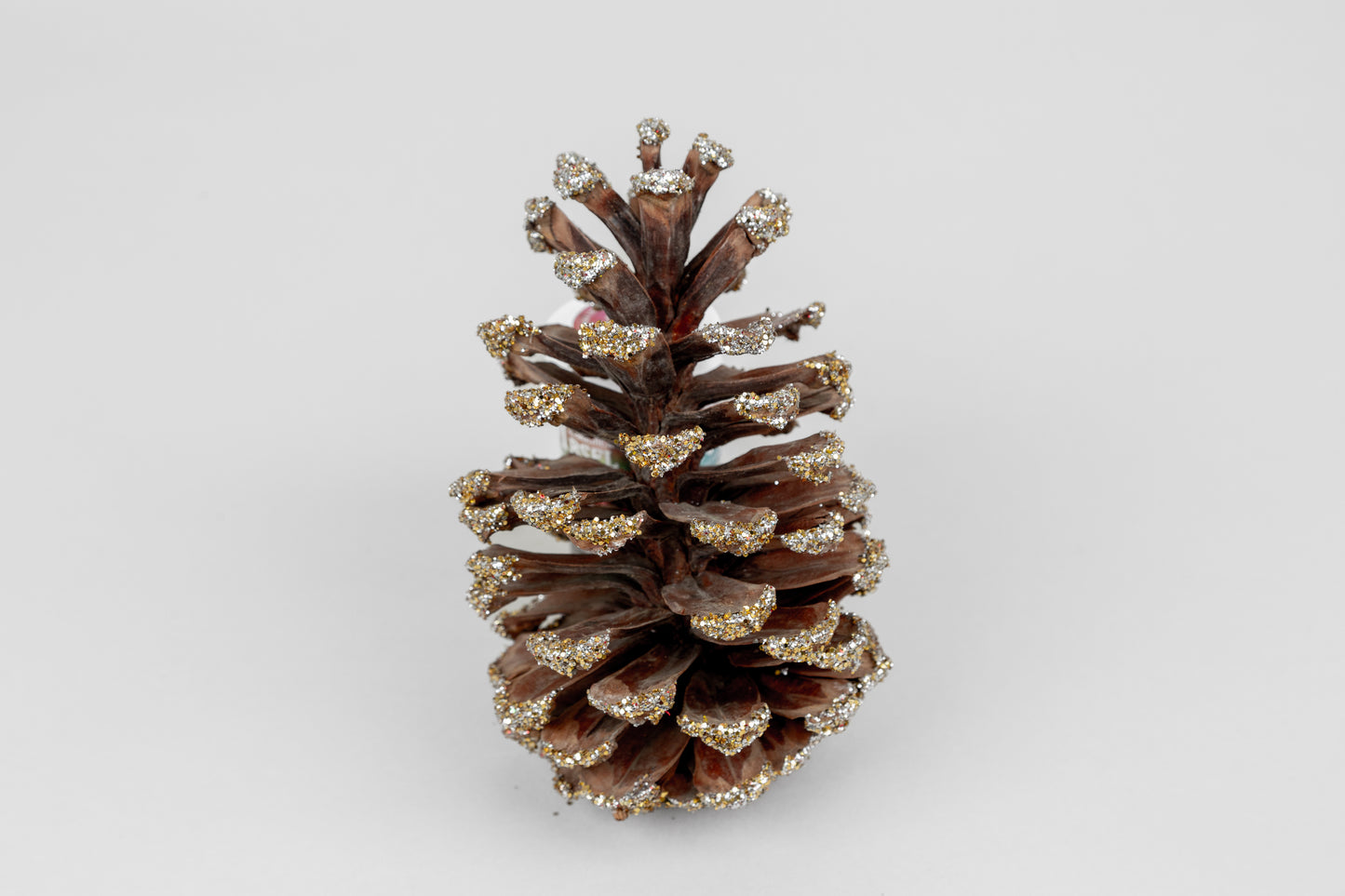 Long Leaf Cones (6-8"), 100 Pcs