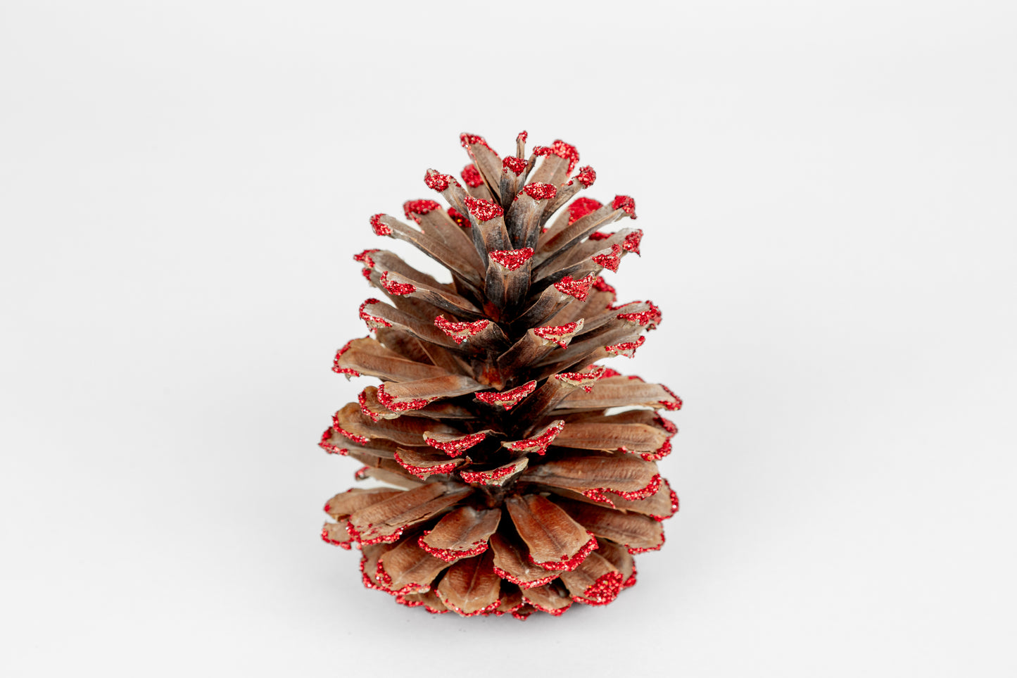 Long Leaf Cones (6-8"), 100 Pcs
