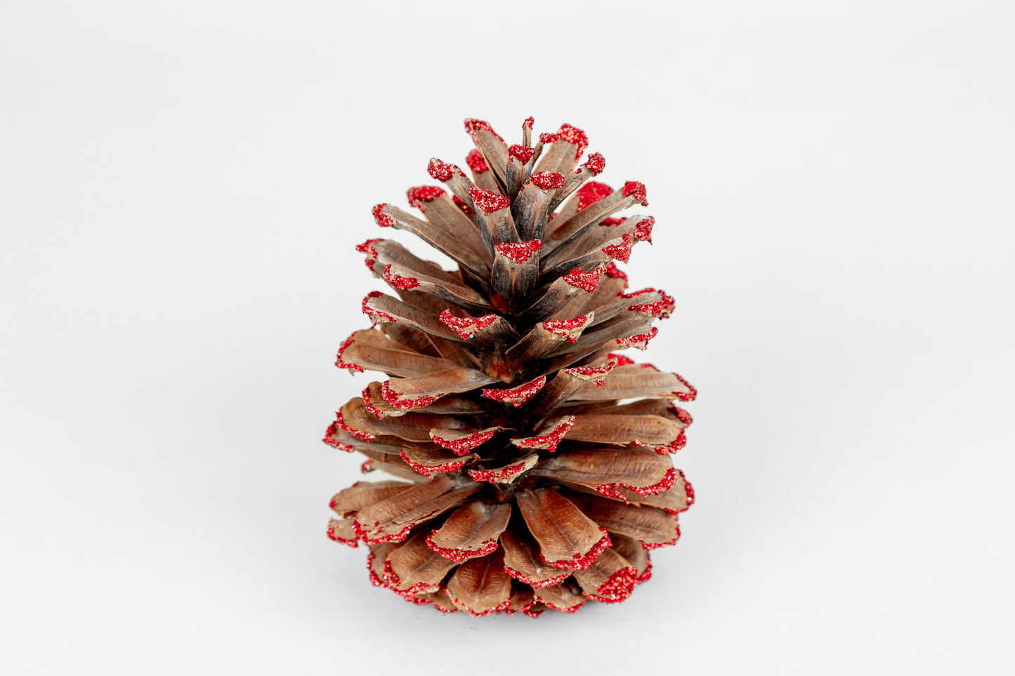 Long Leaf Cones (6-8"), 100 Pcs