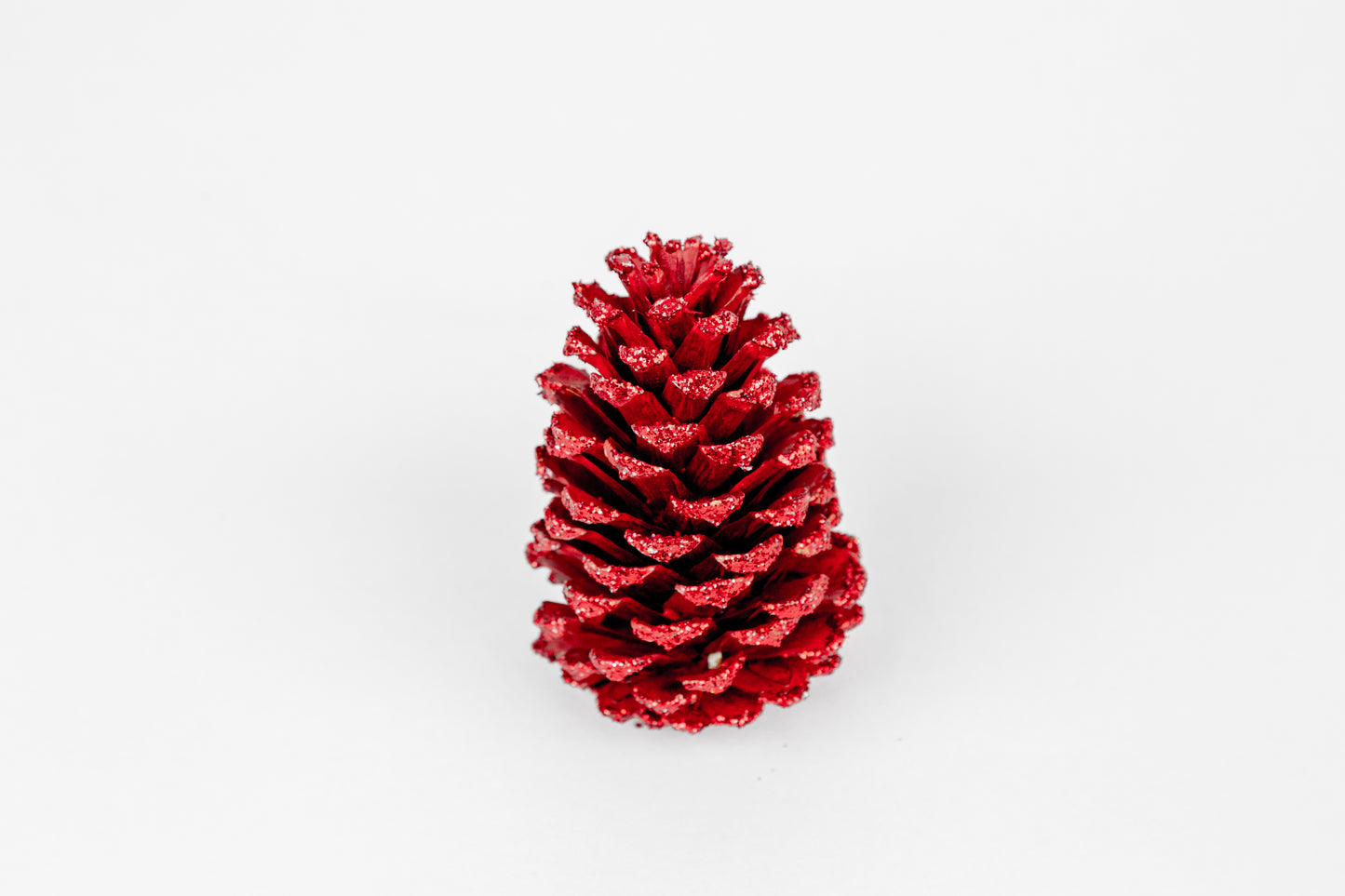 Loblolly Cones (3-4"), 100 Pcs